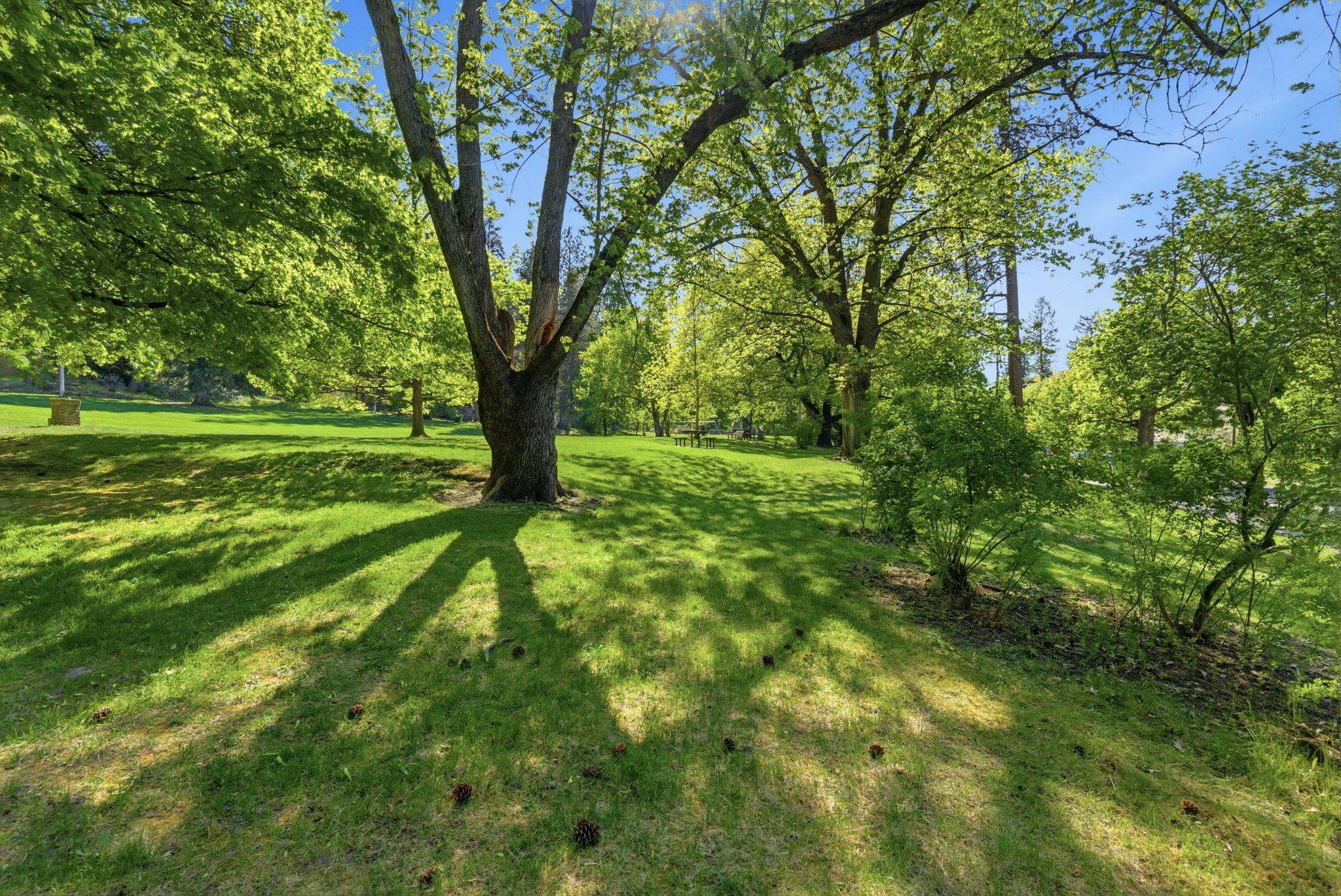 2921 E 17th Ave - Photo 31