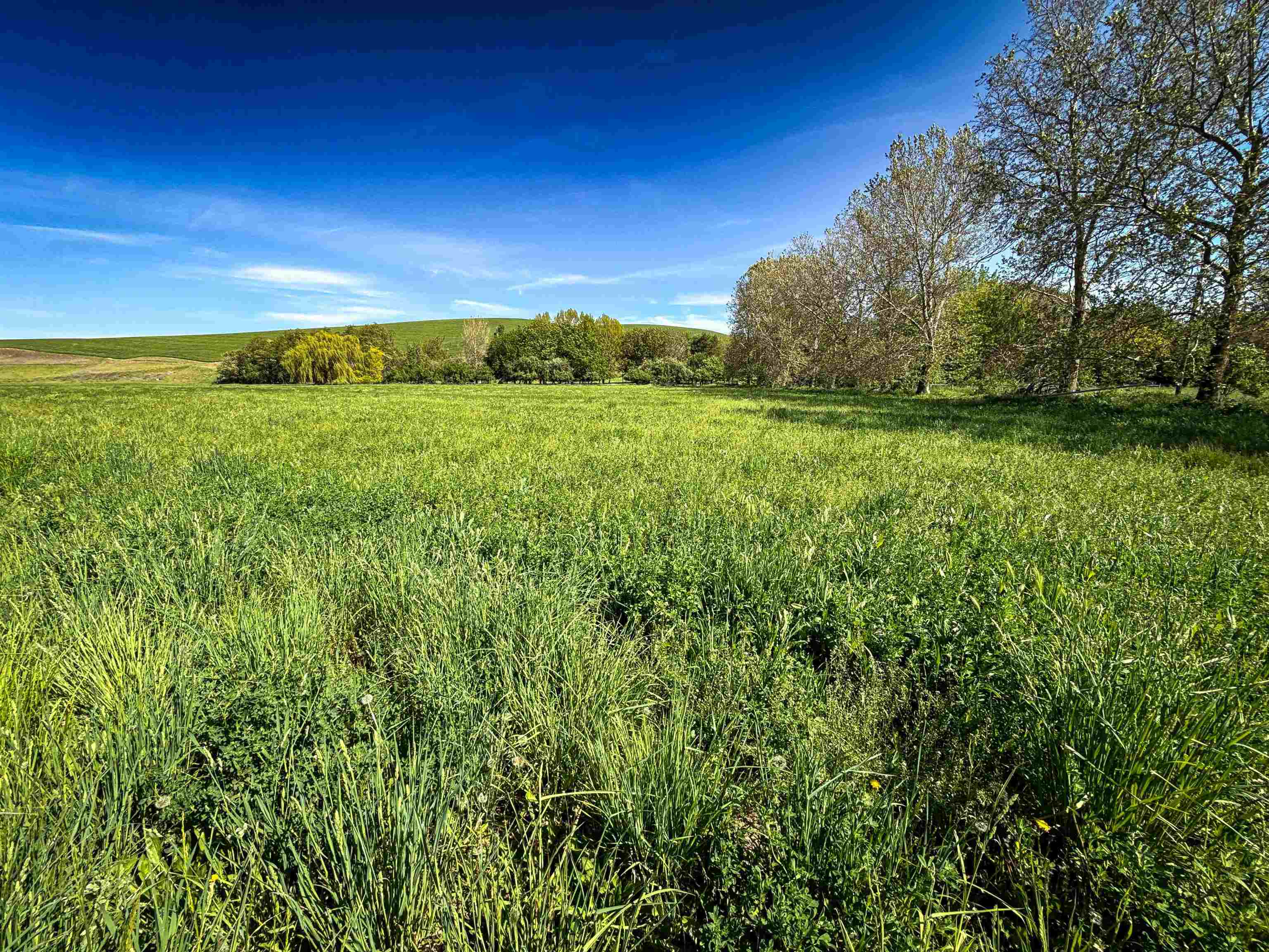 122 Heron Hollow Rd - Photo 25