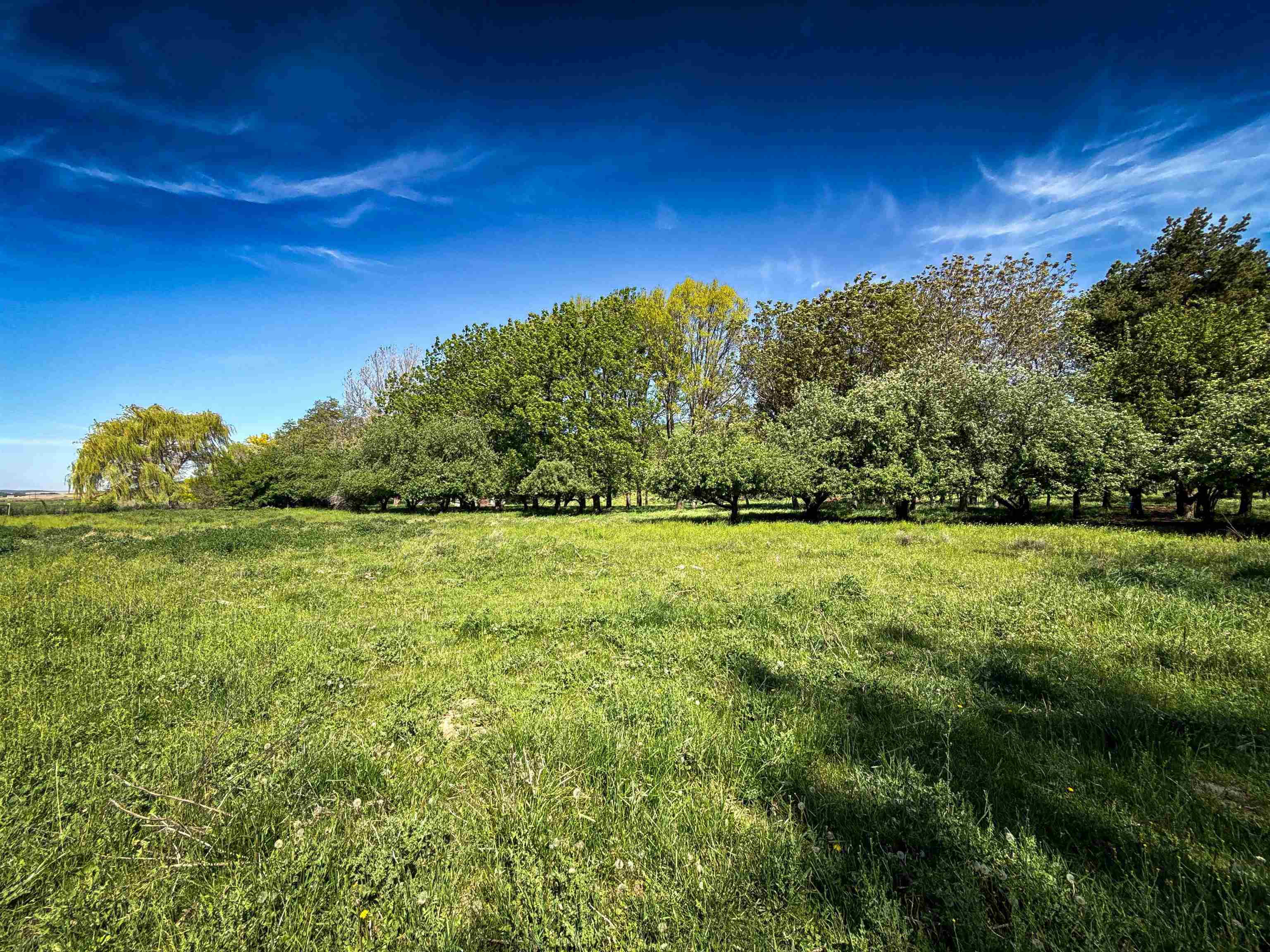 122 Heron Hollow Rd - Photo 32