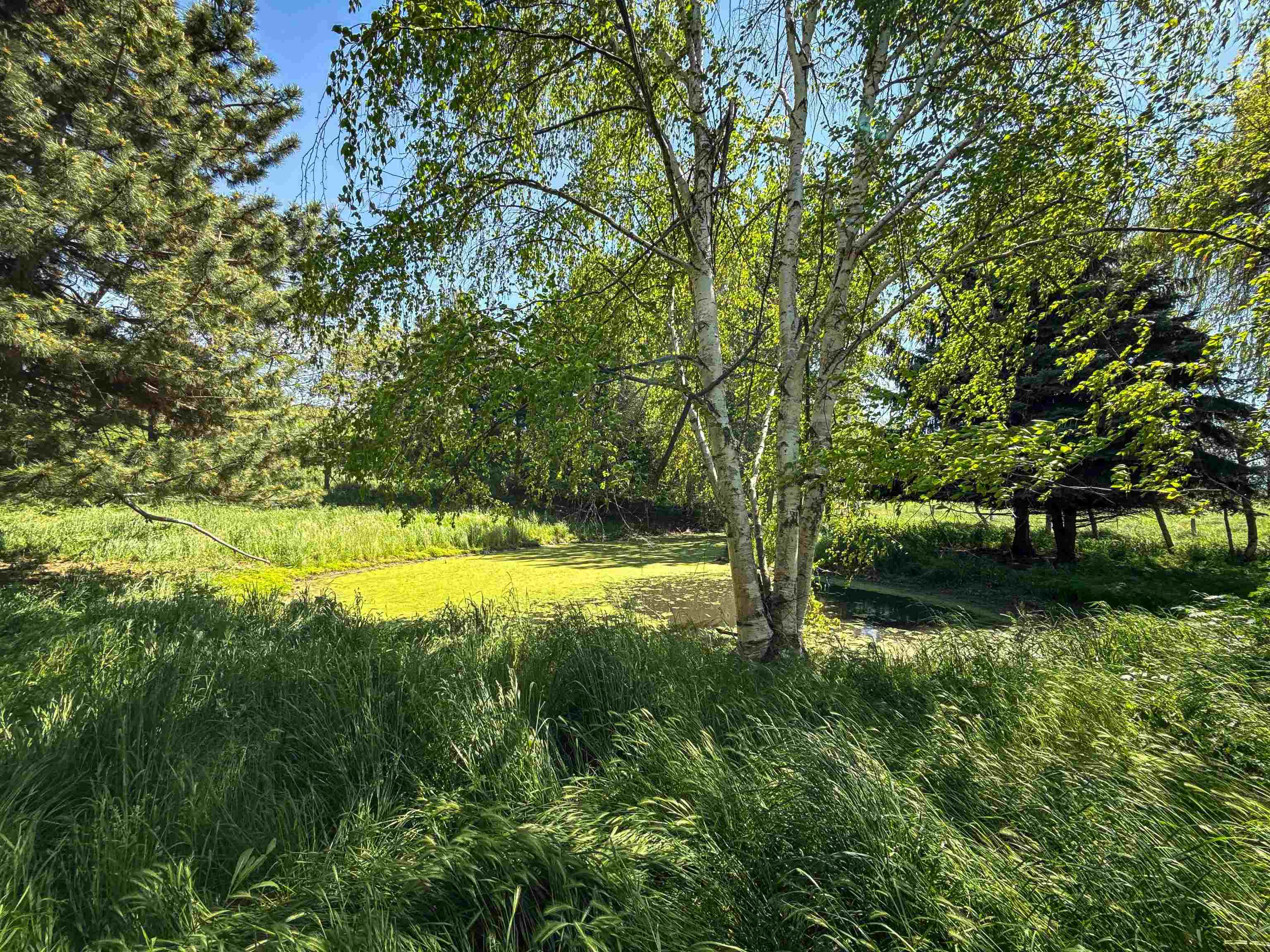 122 Heron Hollow Rd - Photo 35