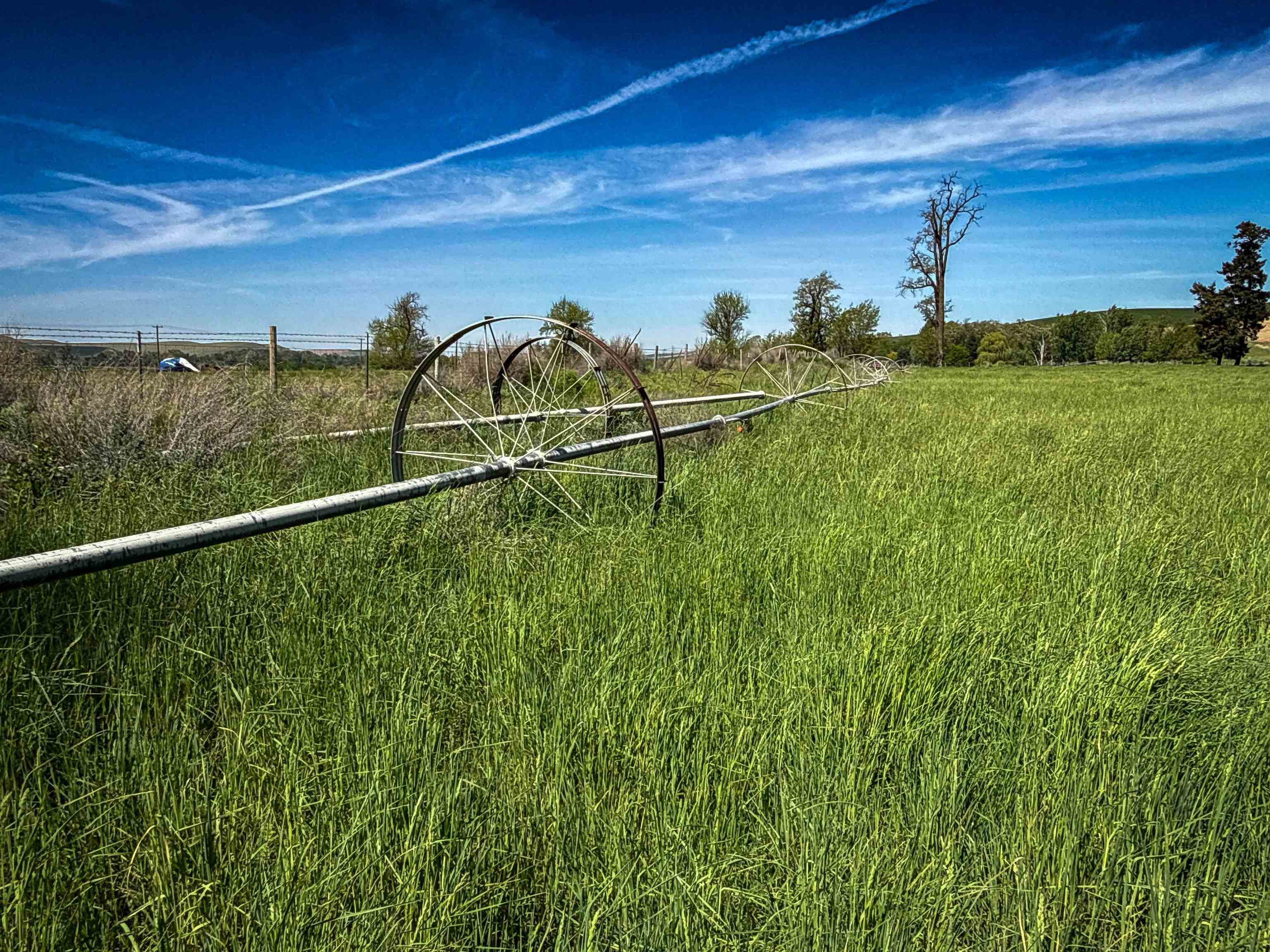 122 Heron Hollow Rd - Photo 38