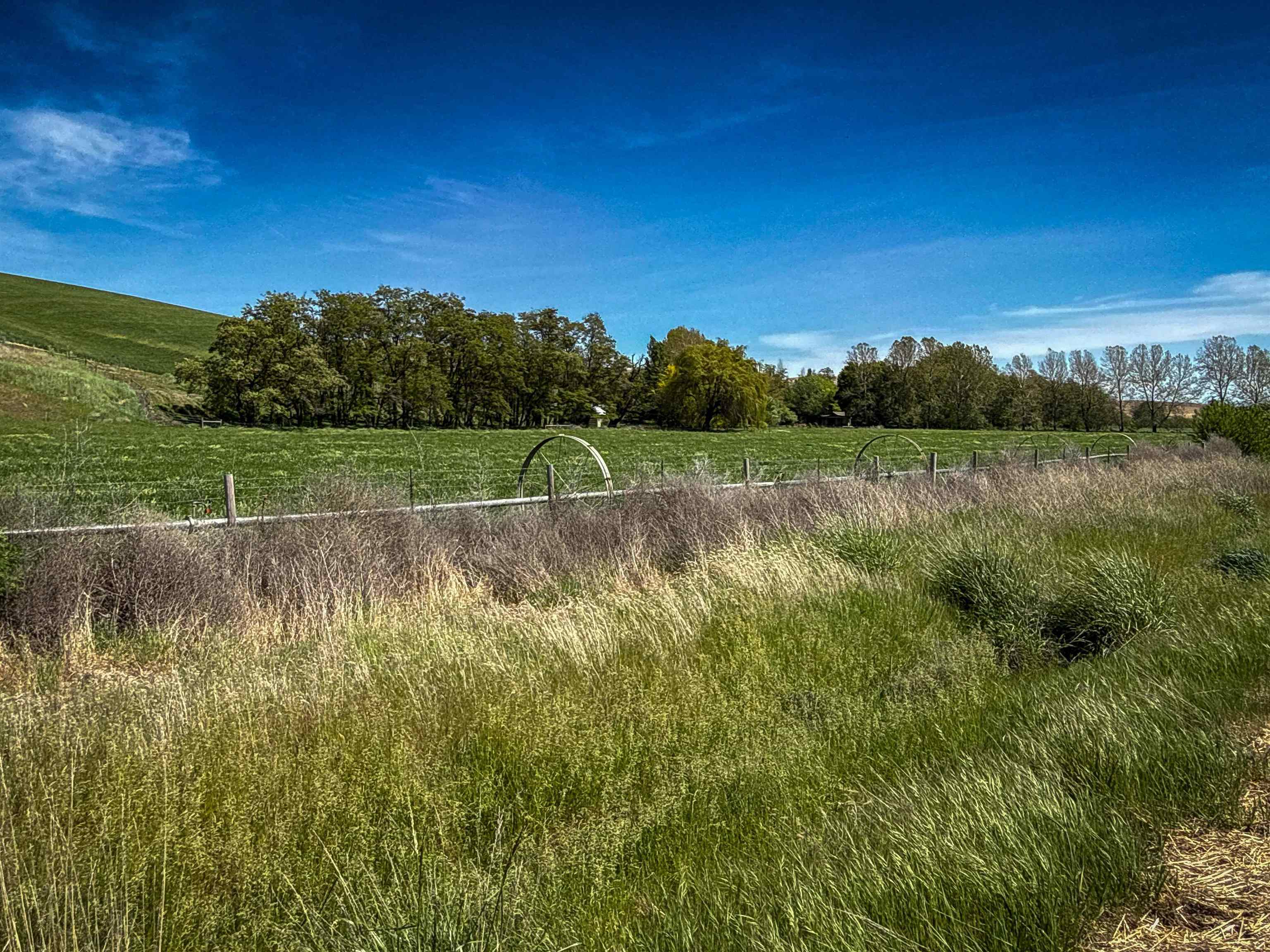 122 Heron Hollow Rd - Photo 39