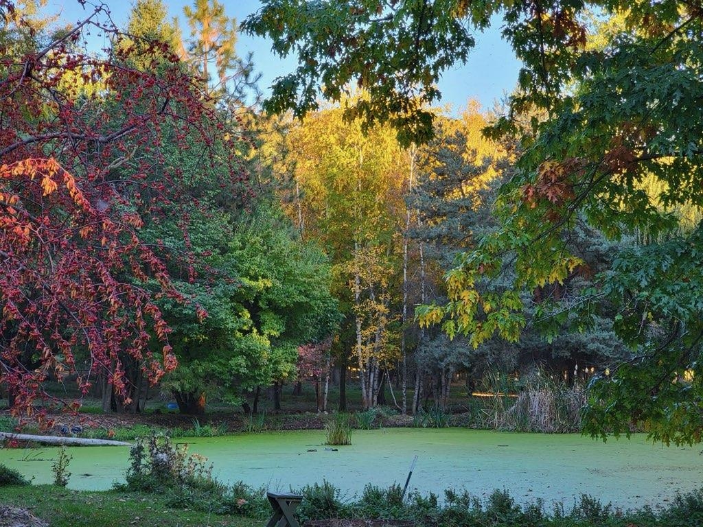 122 Heron Hollow Rd - Photo 49