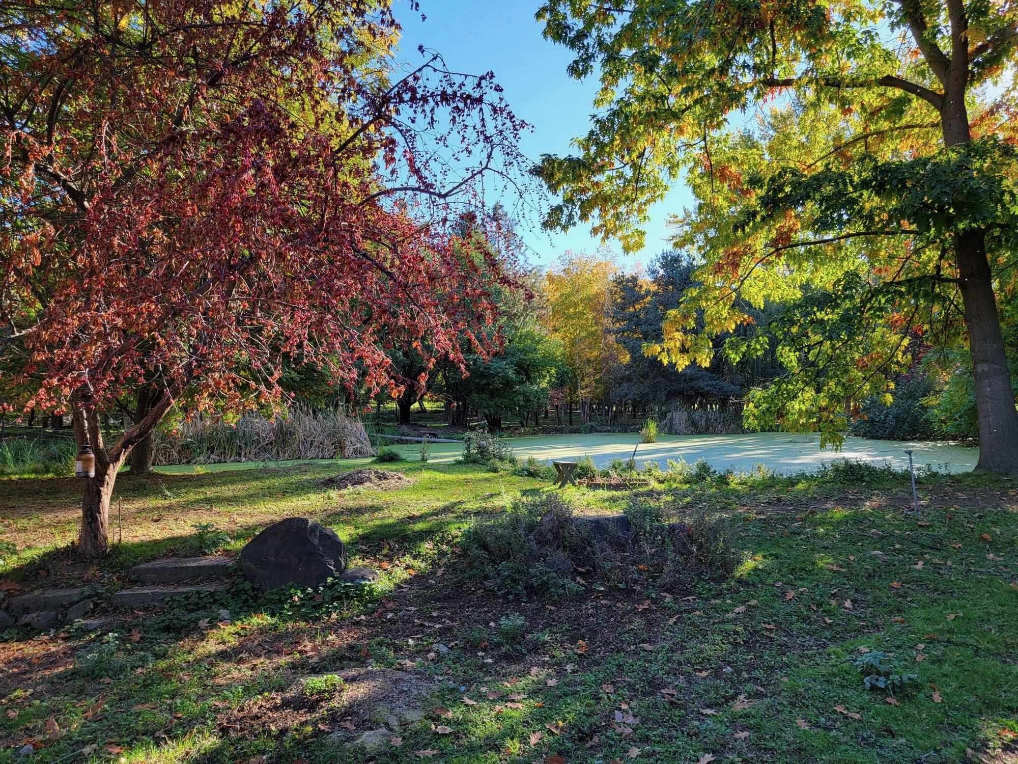 122 Heron Hollow Rd - Photo 50