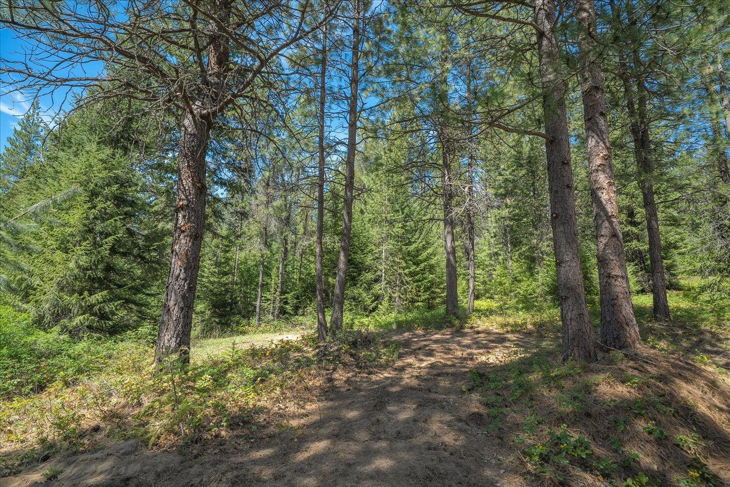 282 Rod Hill Way - Photo 32