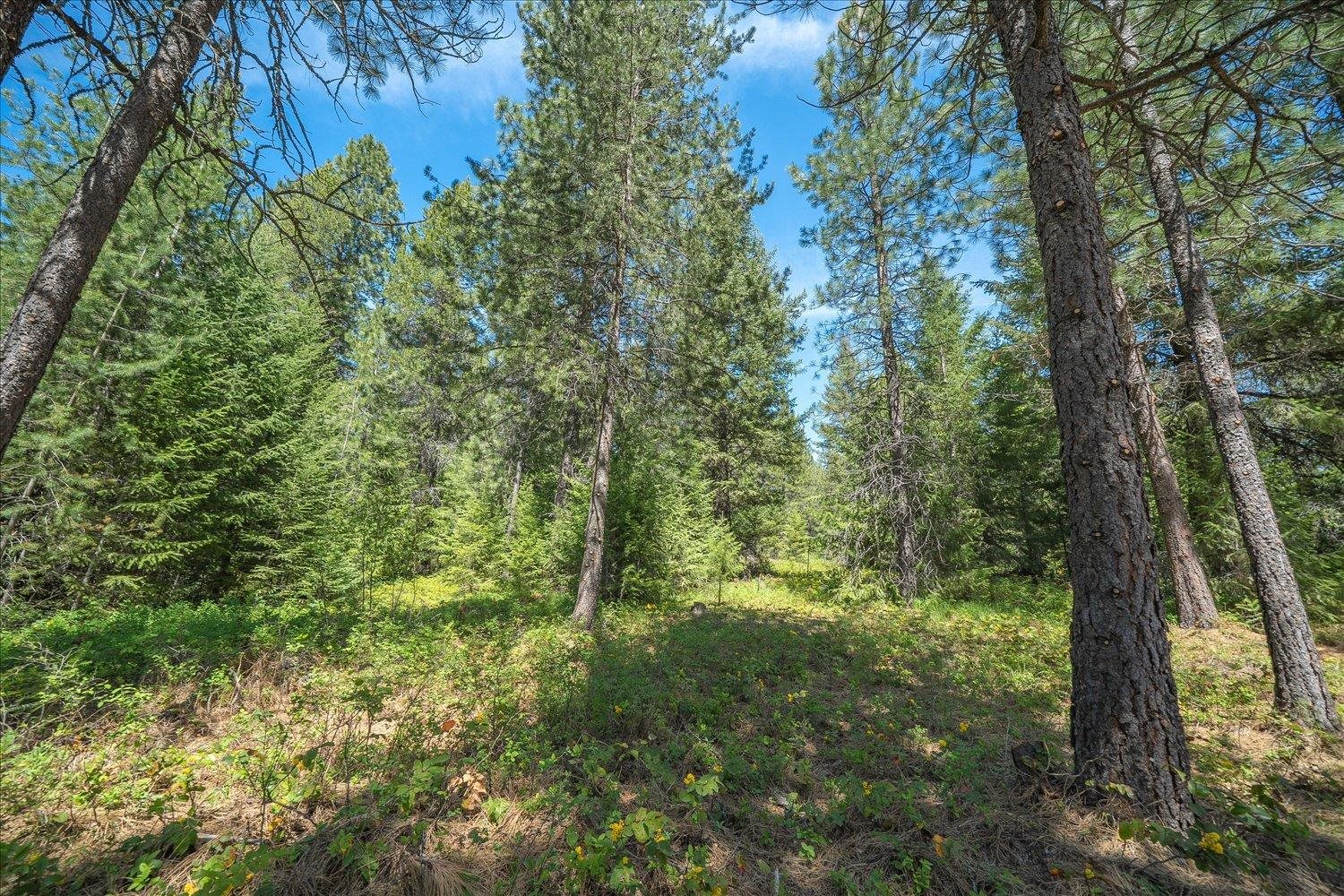 282 Rod Hill Way - Photo 33