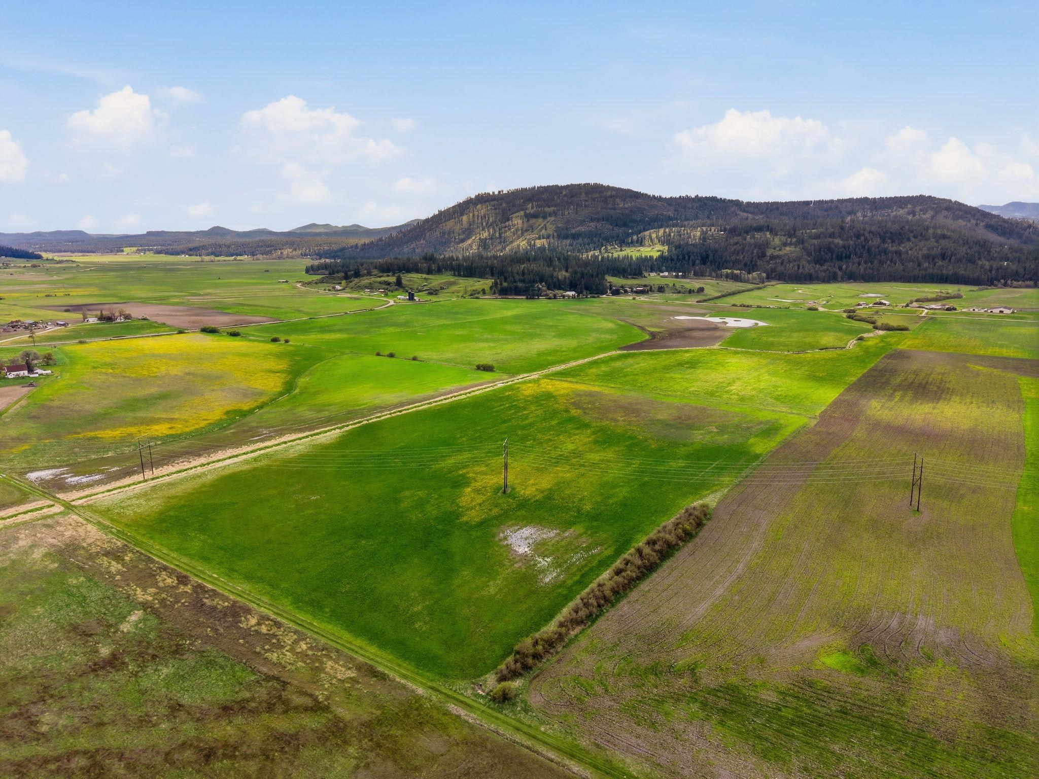 25XX Heine Rd - Photo 8