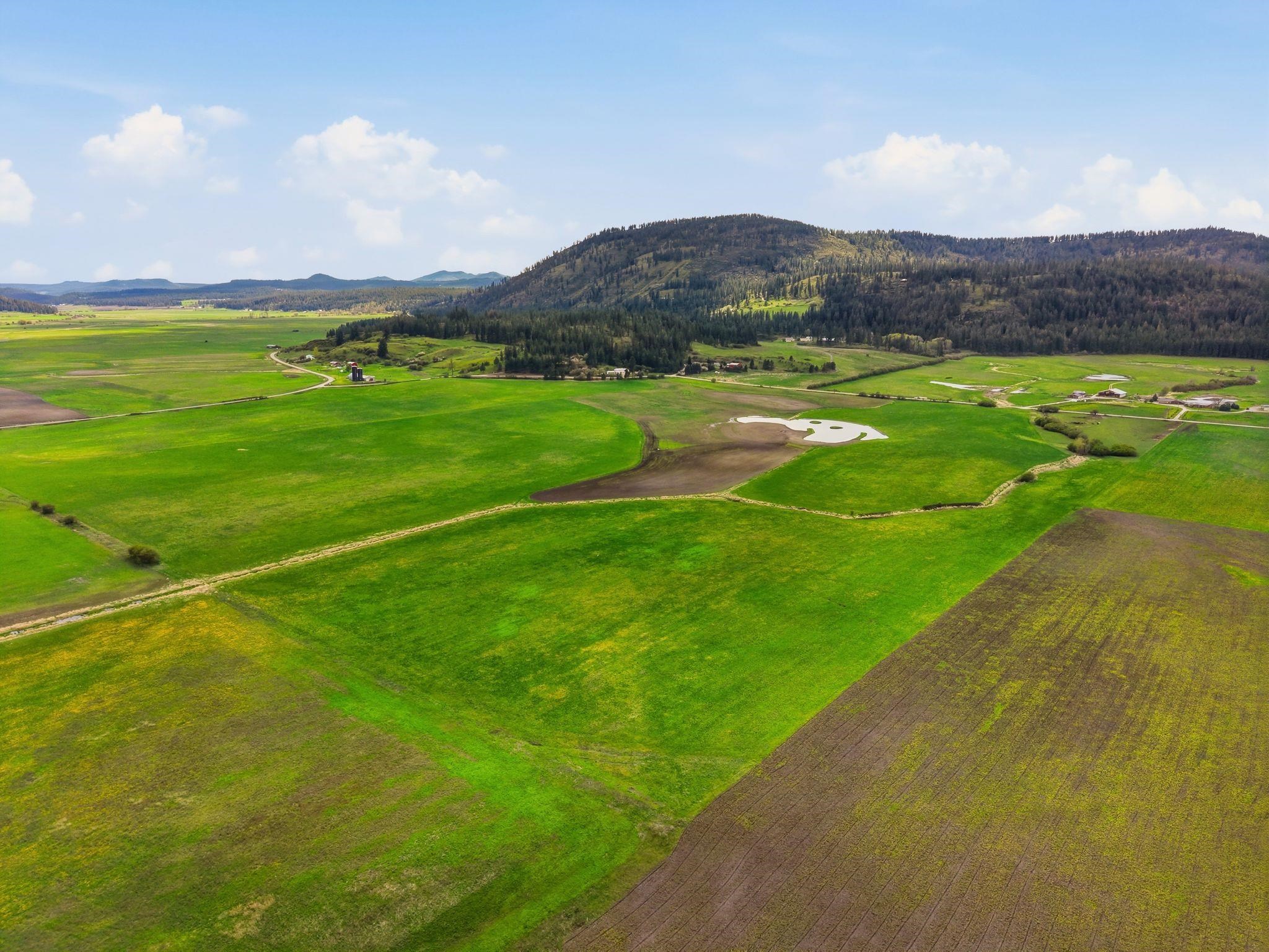 25XX Heine Rd - Photo 10