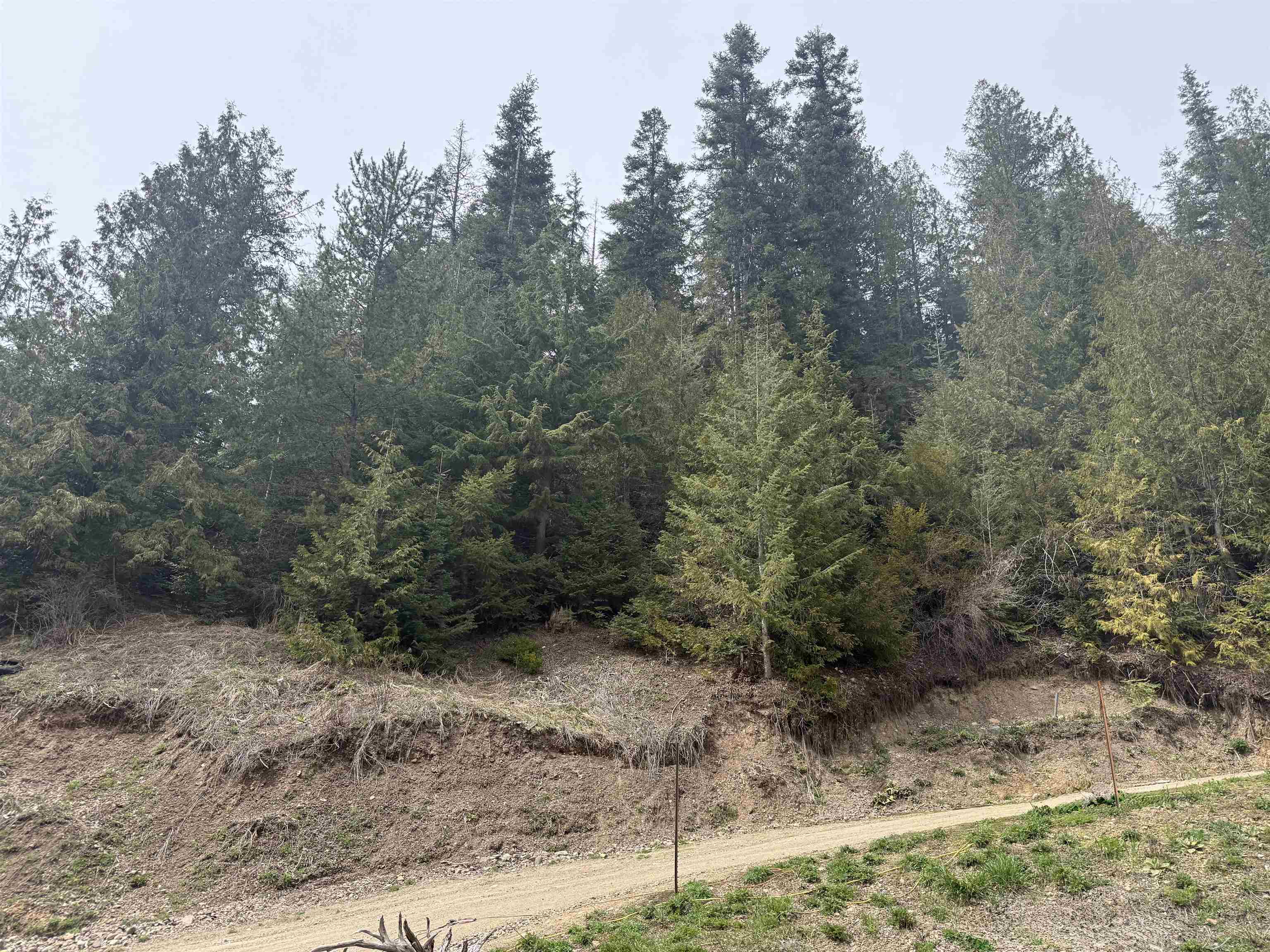 4851 Best Chance Rd - Photo 2