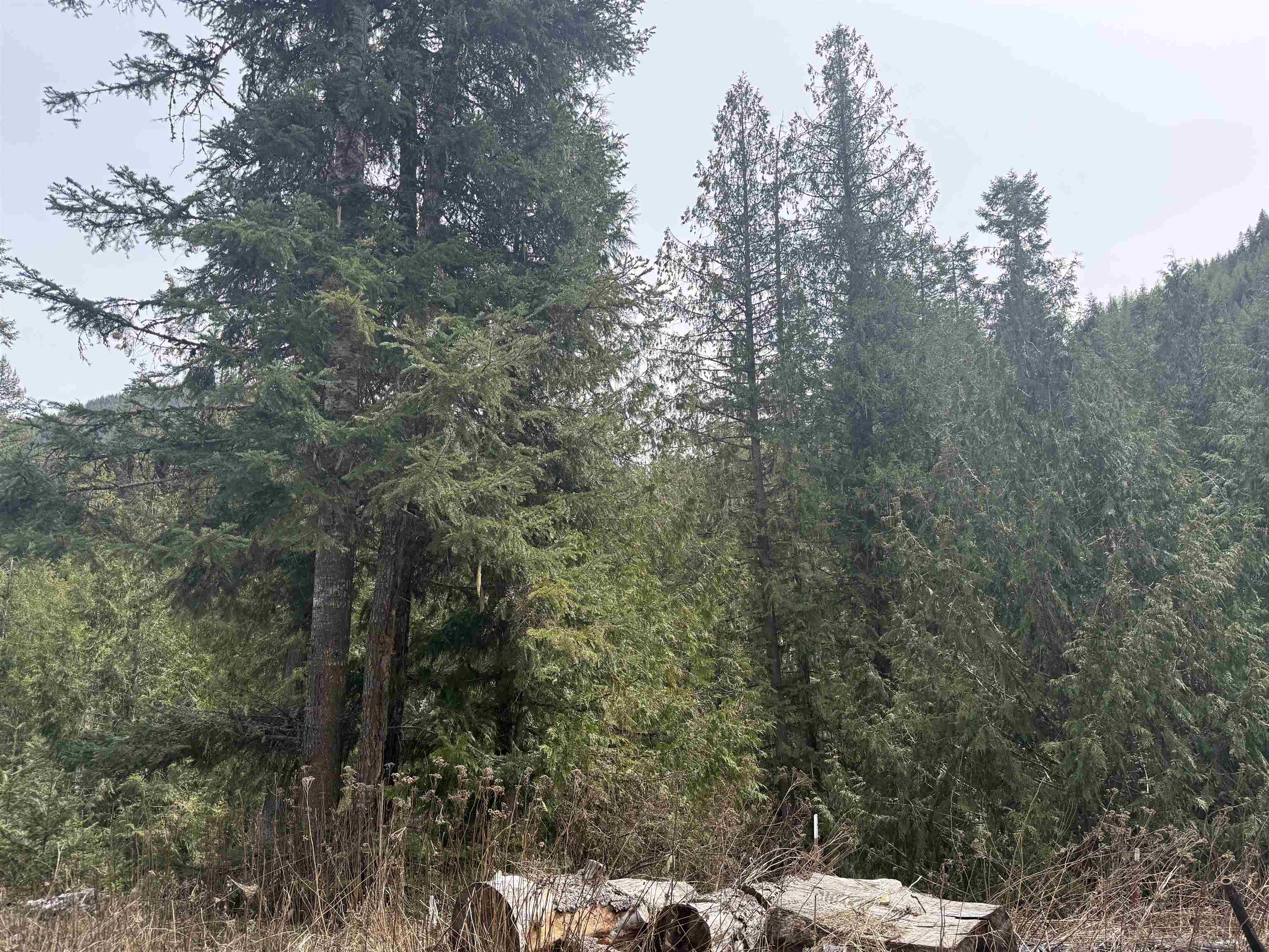 4851 Best Chance Rd - Photo 3