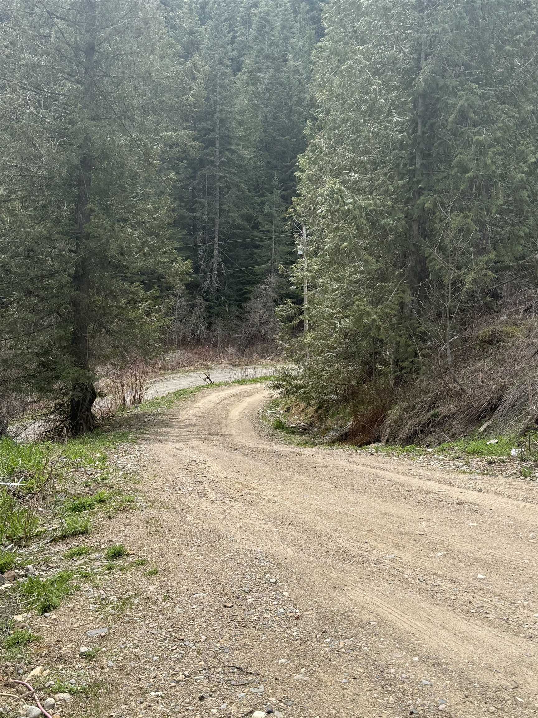4851 Best Chance Rd - Photo 4