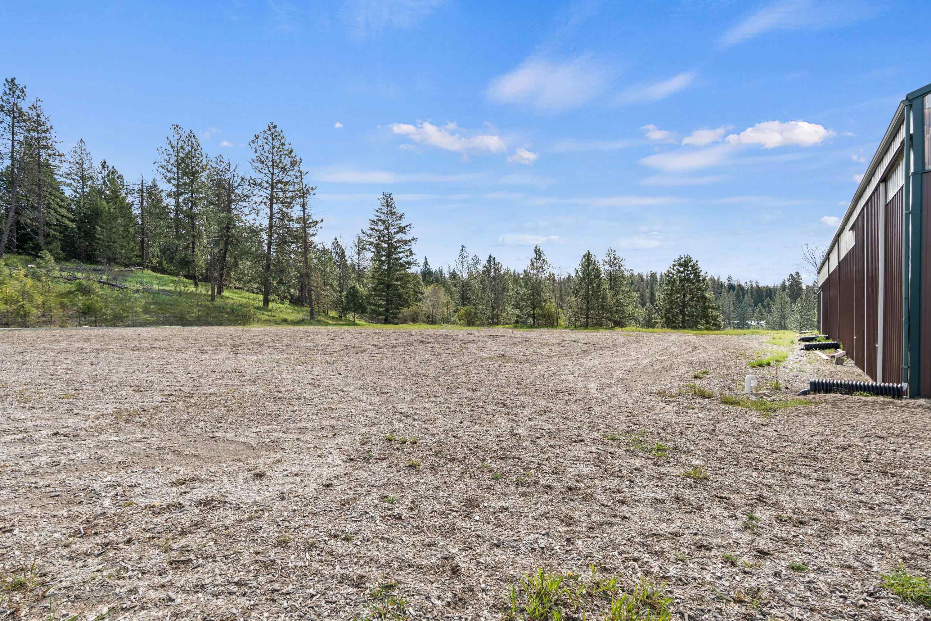 15716 N Scribner Branch Rd - Photo 46