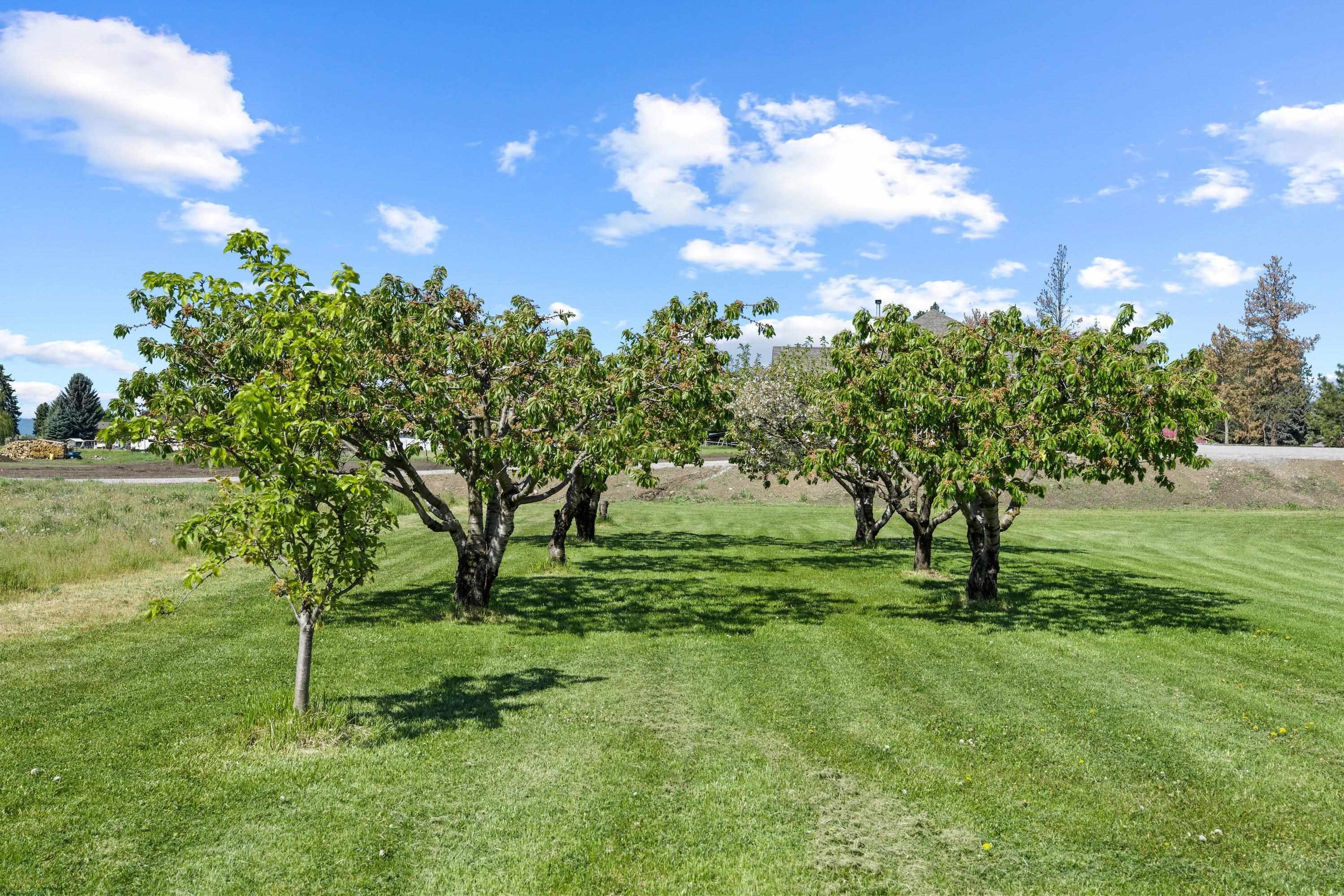 3321 N Molter Rd - Photo 42