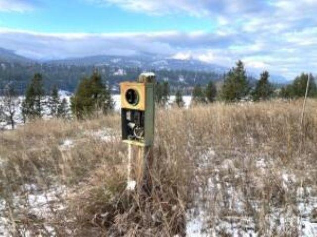 3500 ROCKCUT Rd - Photo 19