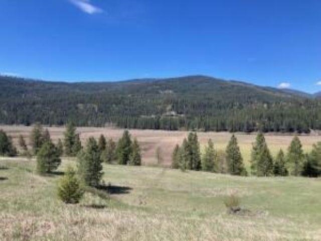 3500 ROCKCUT Rd - Photo 31