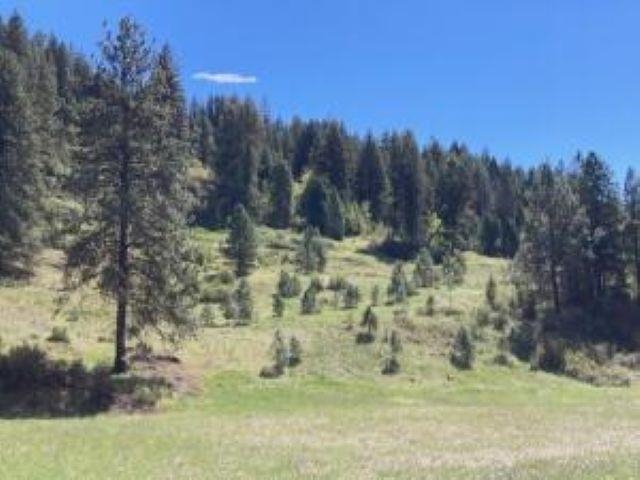 3500 ROCKCUT Rd - Photo 32
