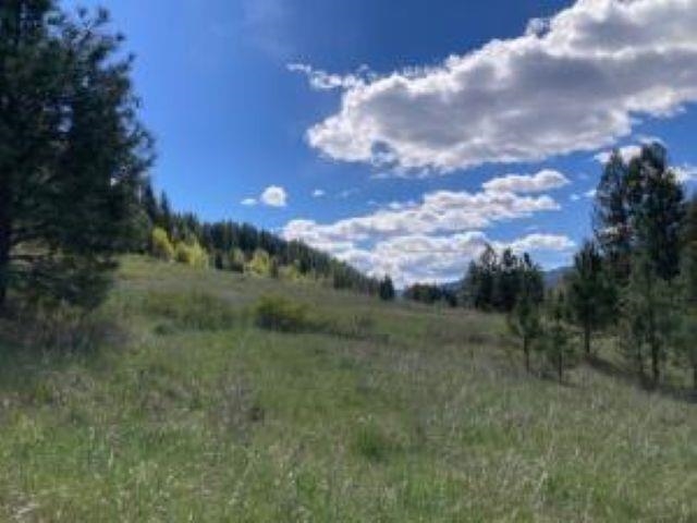 3500 ROCKCUT Rd - Photo 10
