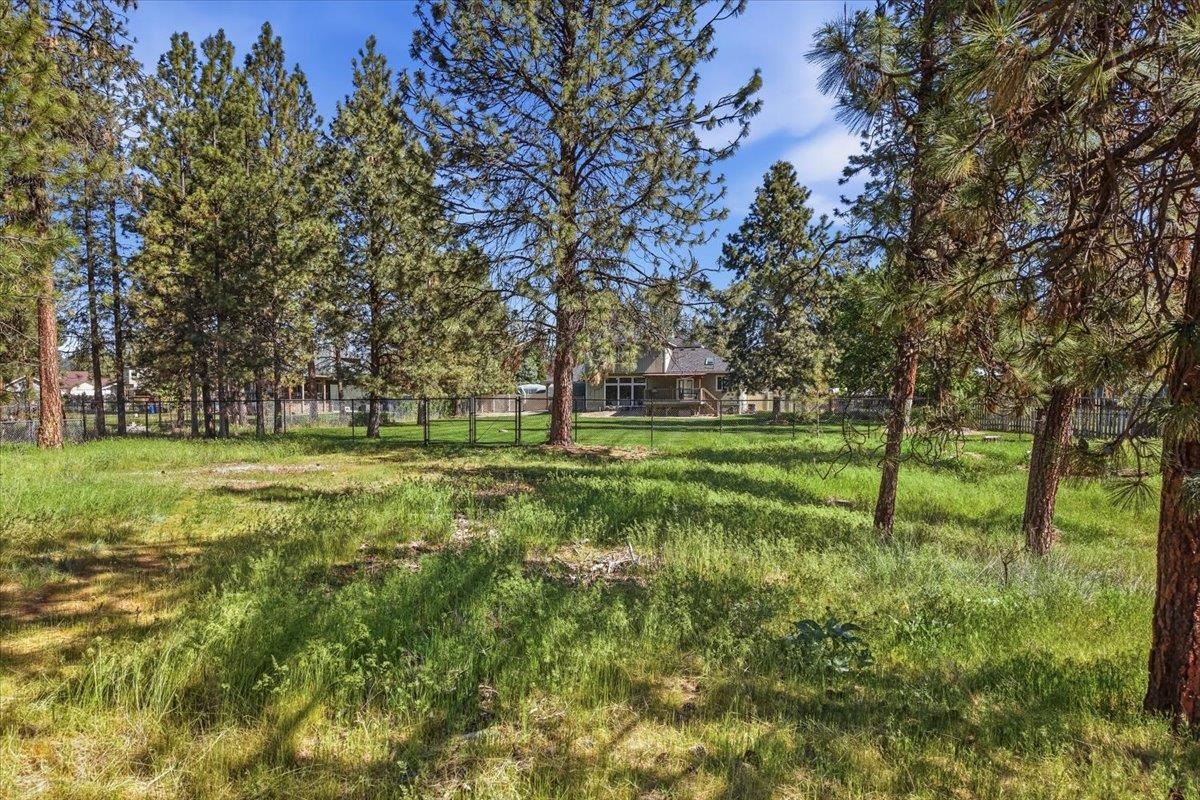 6221 Moriah Dr - Photo 40