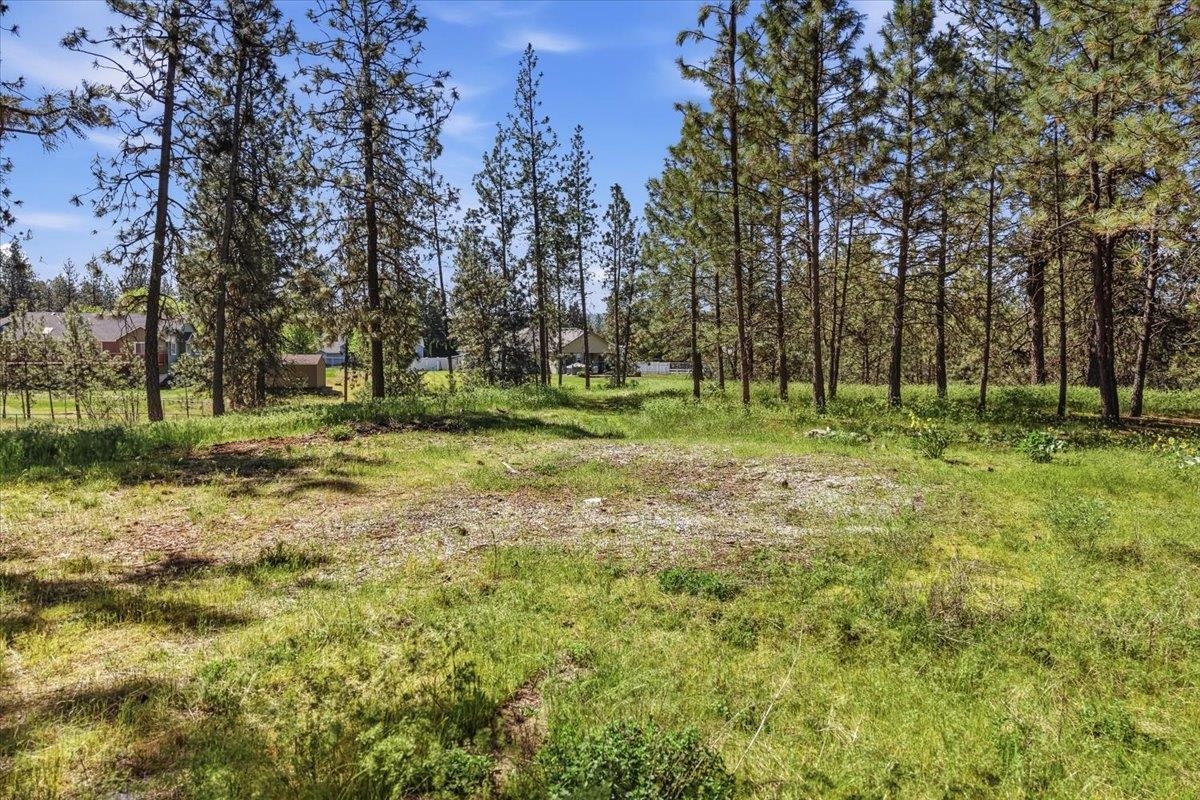 6221 Moriah Dr - Photo 41