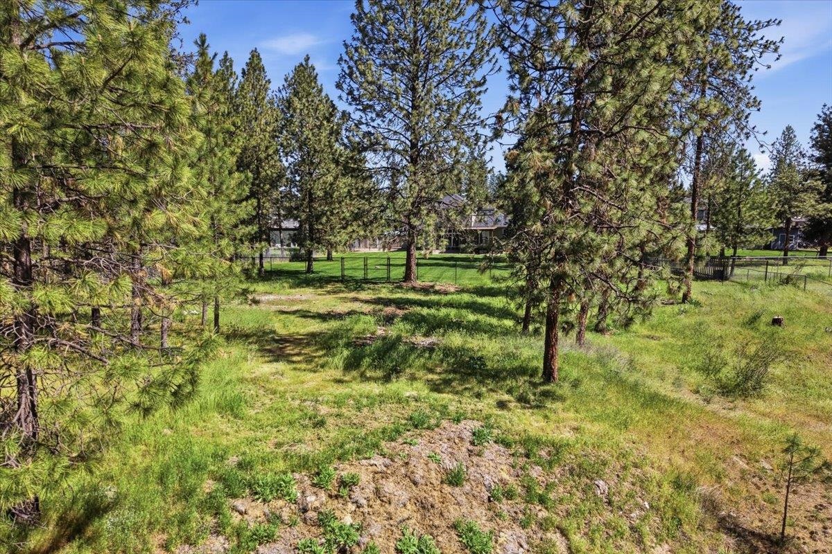 6221 Moriah Dr - Photo 42