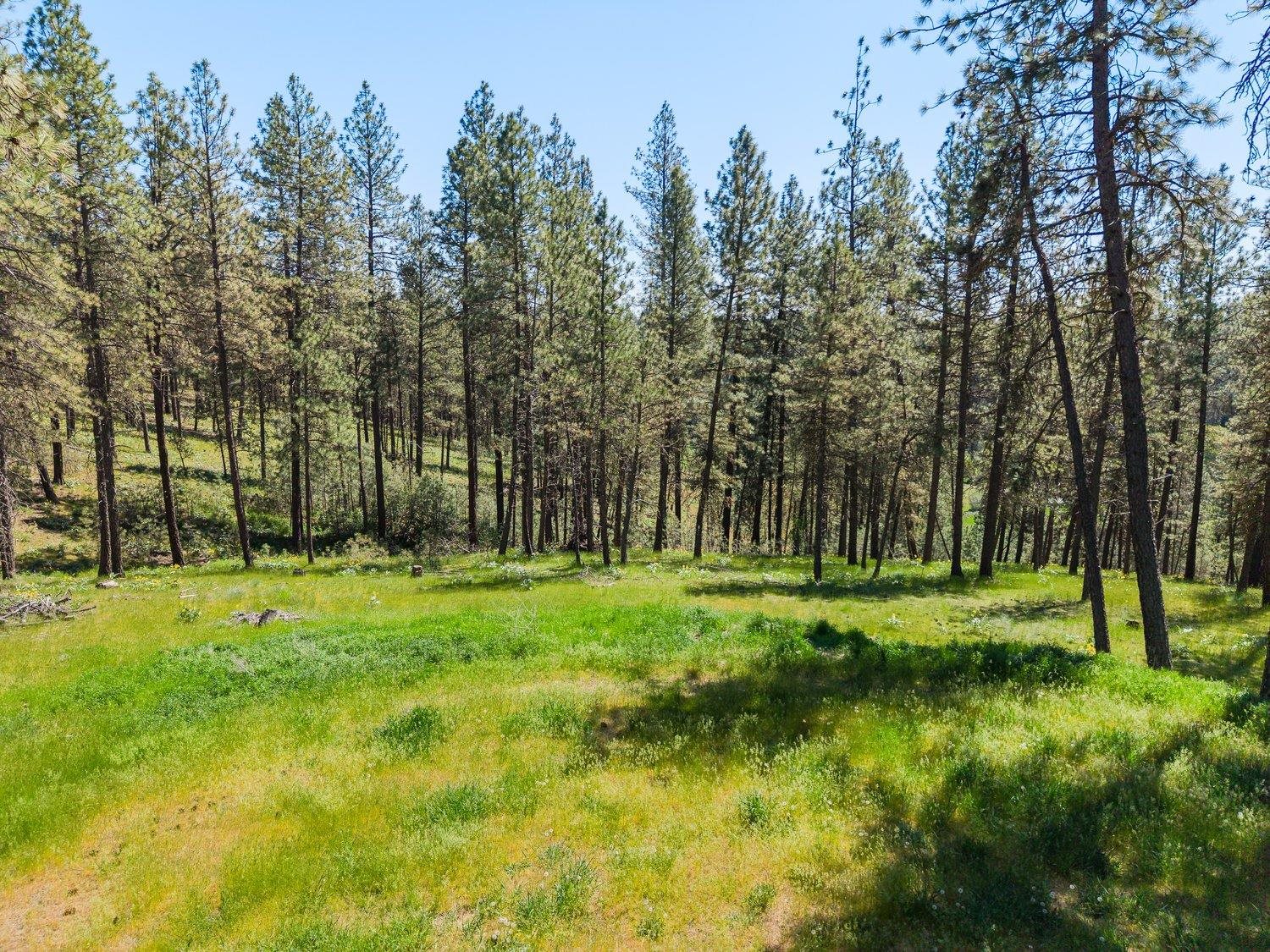 2910 N Brooks Rd - Photo 4