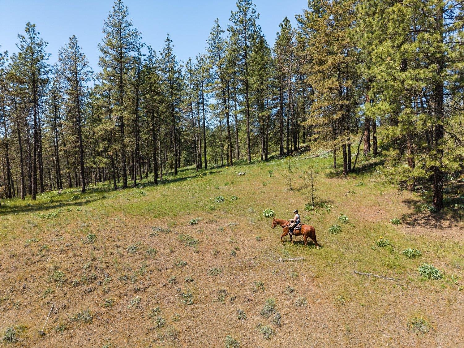 2910 N Brooks Rd - Photo 36