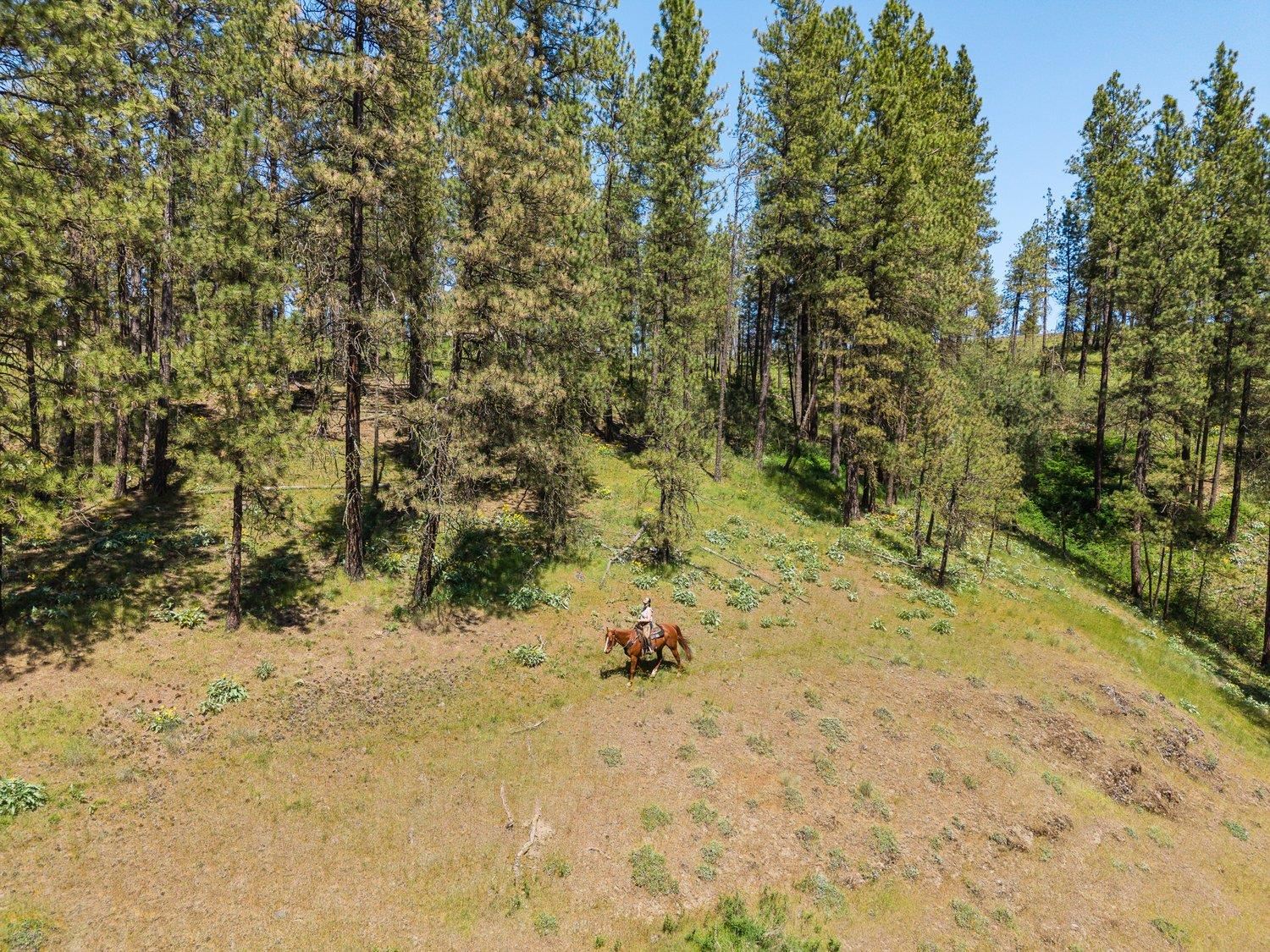 2910 N Brooks Rd - Photo 37