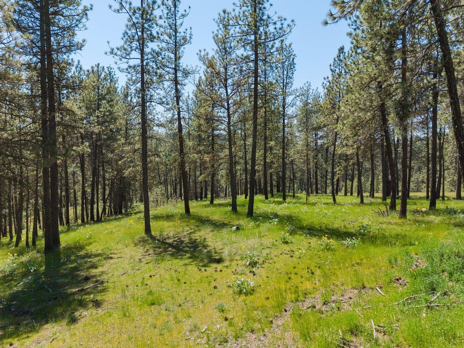2910 N Brooks Rd - Photo 46