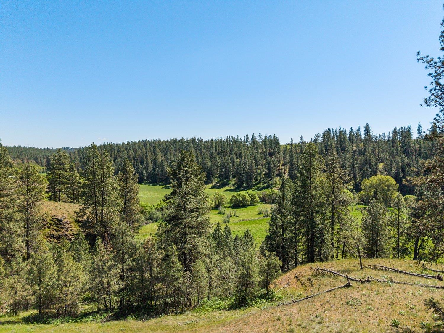 2910 N Brooks Rd - Photo 47