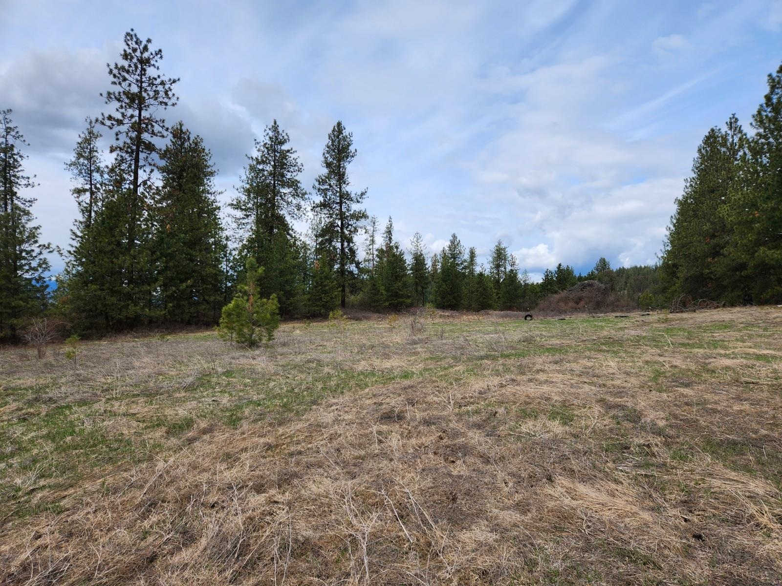 29xx Bakie Rd - Photo 11