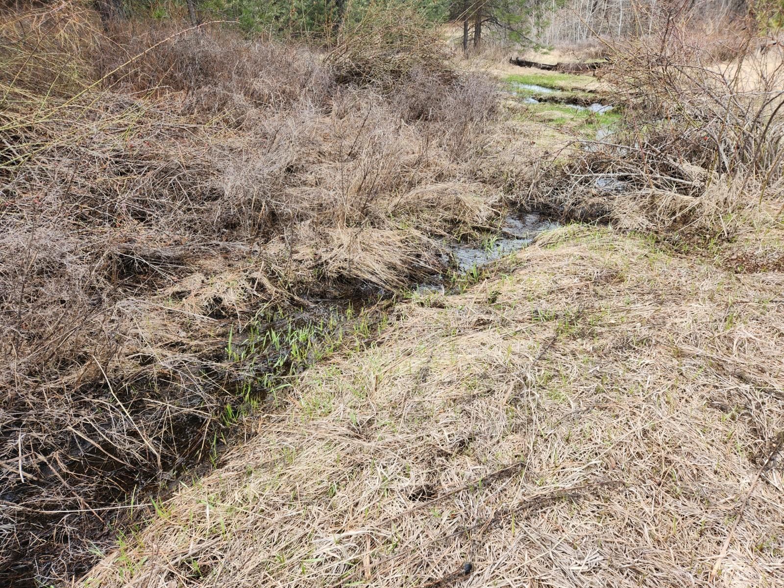 29xx Bakie Rd - Photo 12