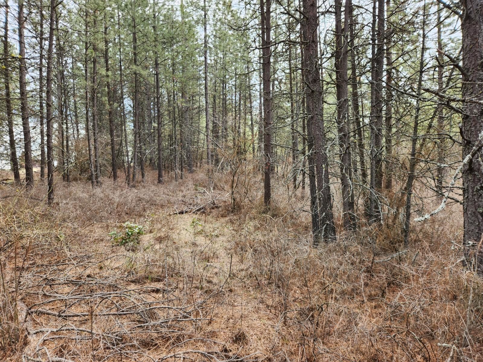 29xx Bakie Rd - Photo 16