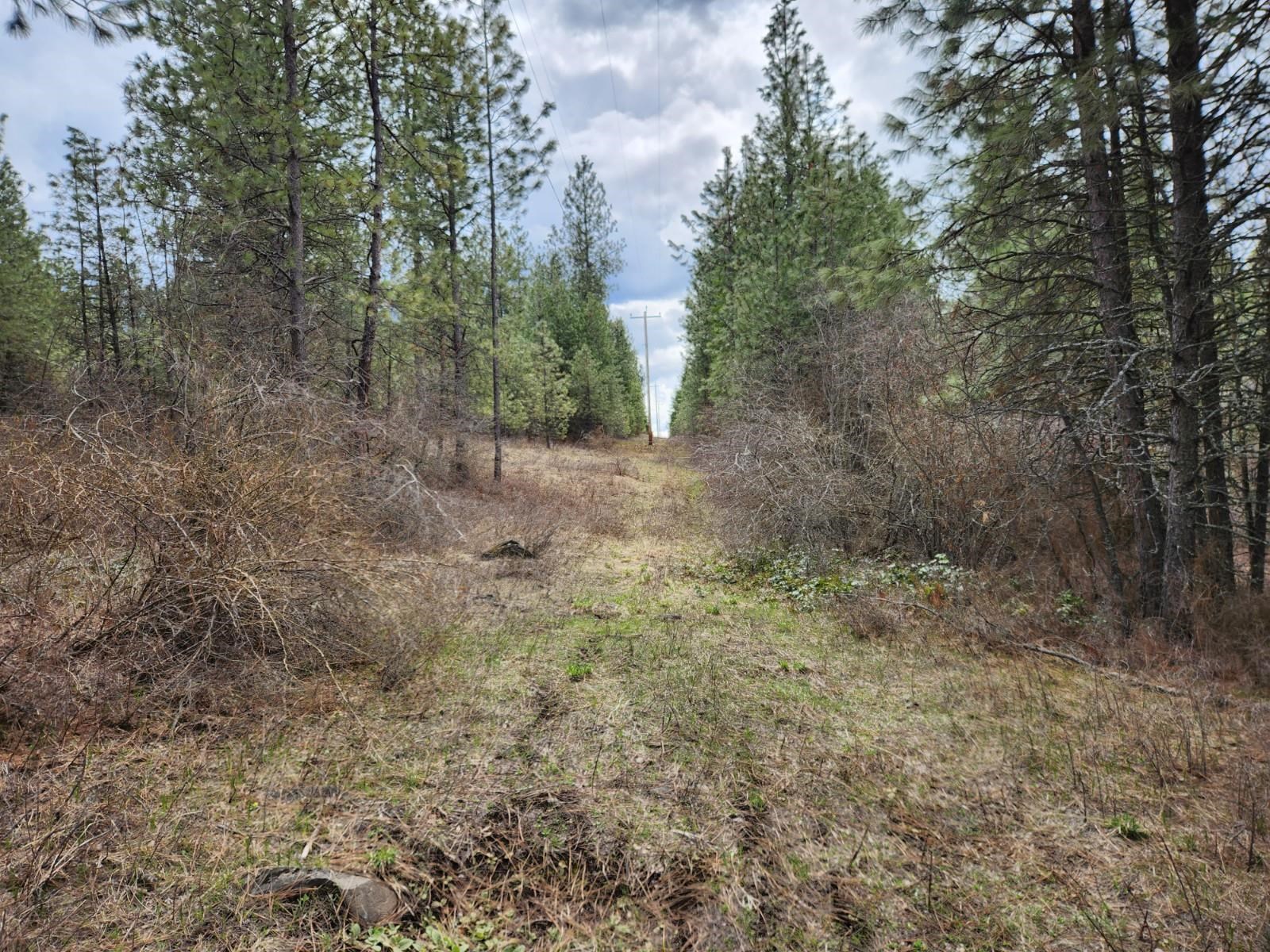 29xx Bakie Rd - Photo 17
