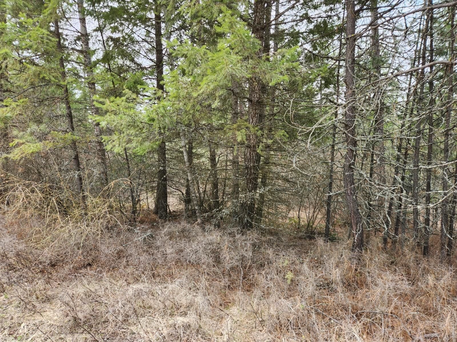 29xx Bakie Rd - Photo 18