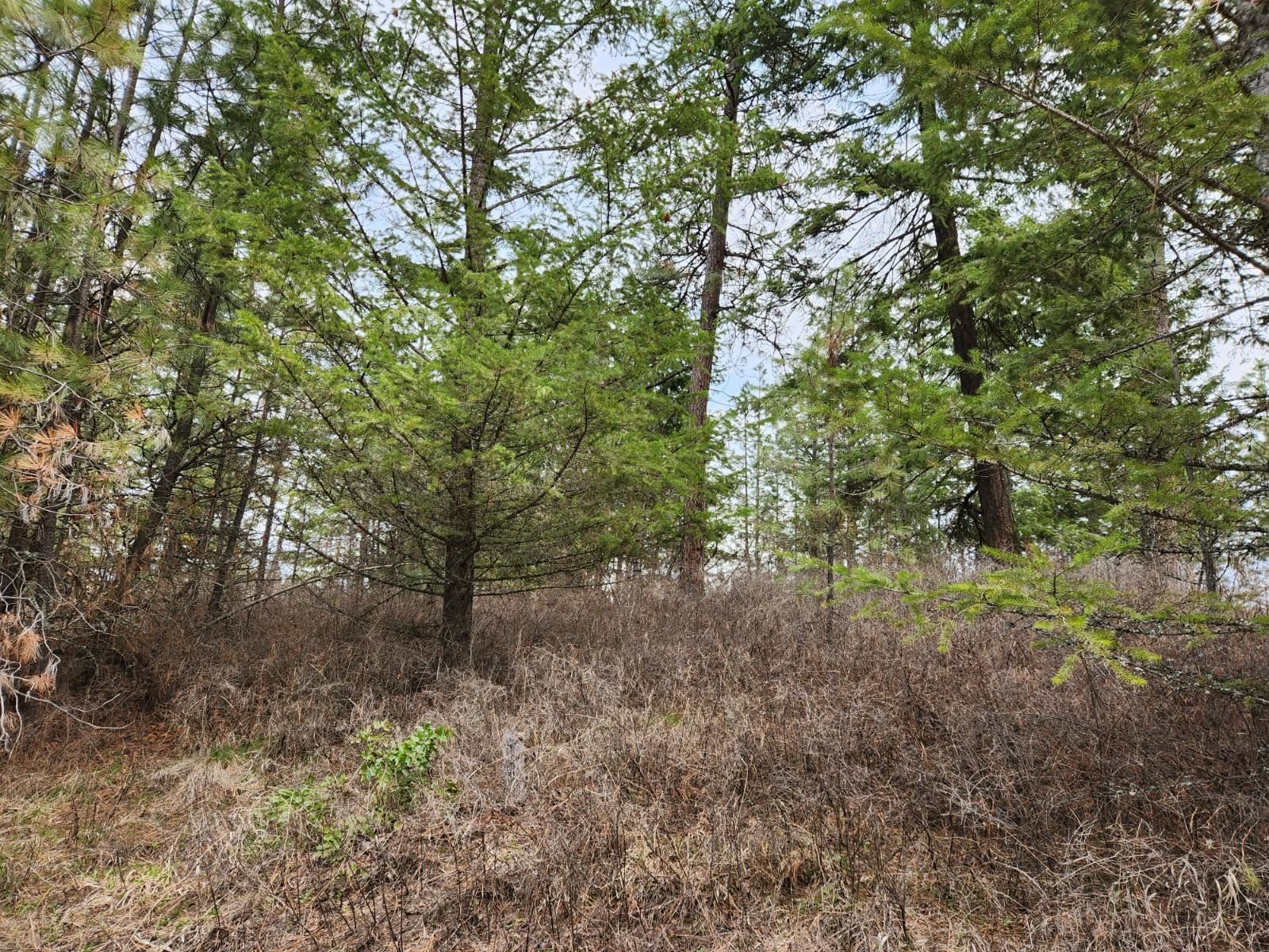 29xx Bakie Rd - Photo 20