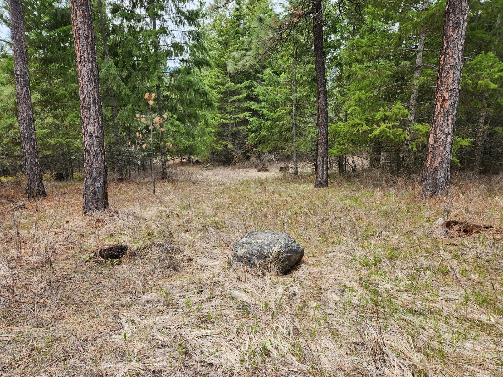 29xx Bakie Rd - Photo 3