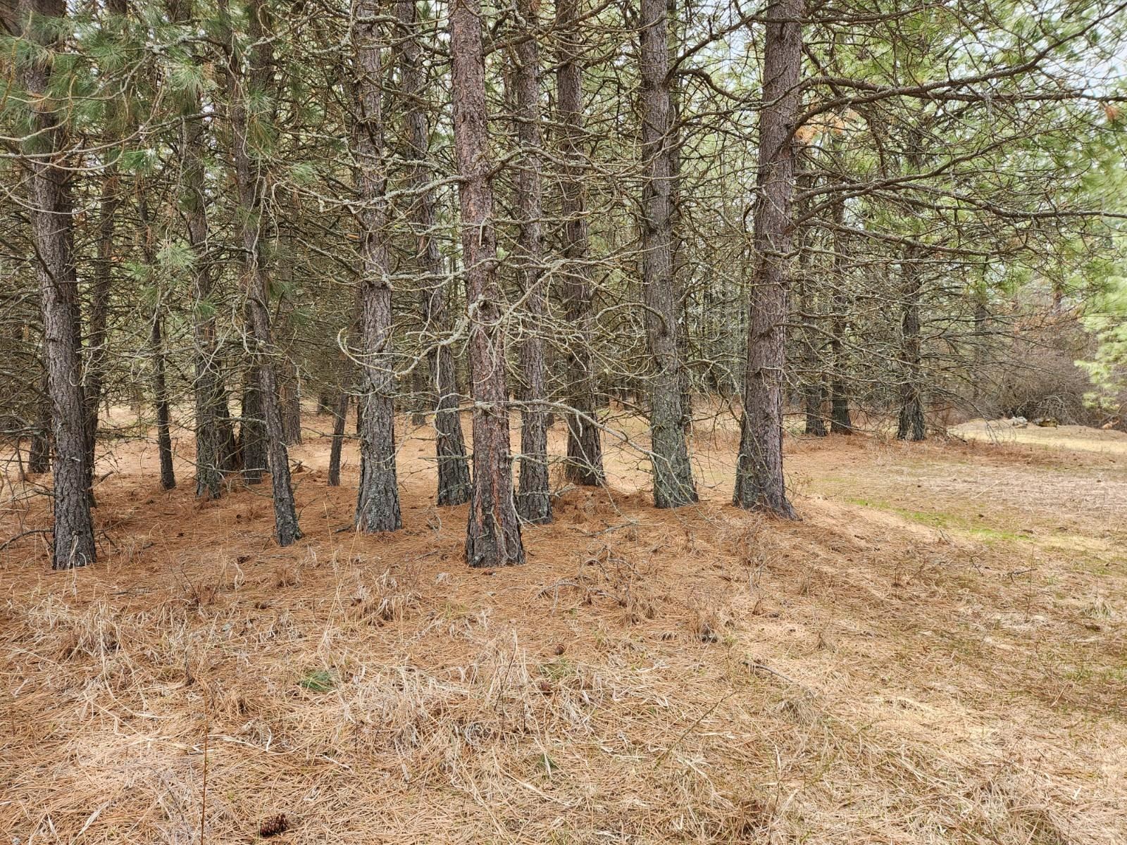 29xx Bakie Rd - Photo 4