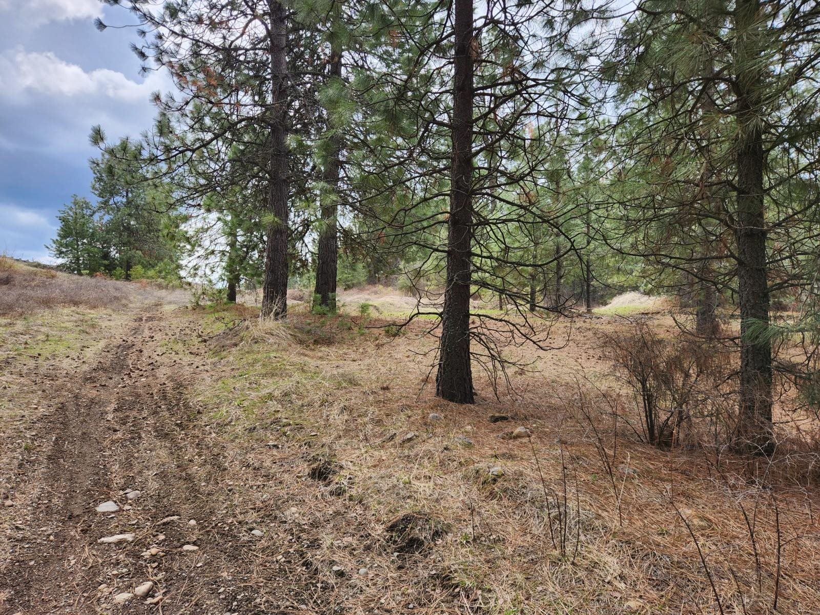 29xx Bakie Rd - Photo 5