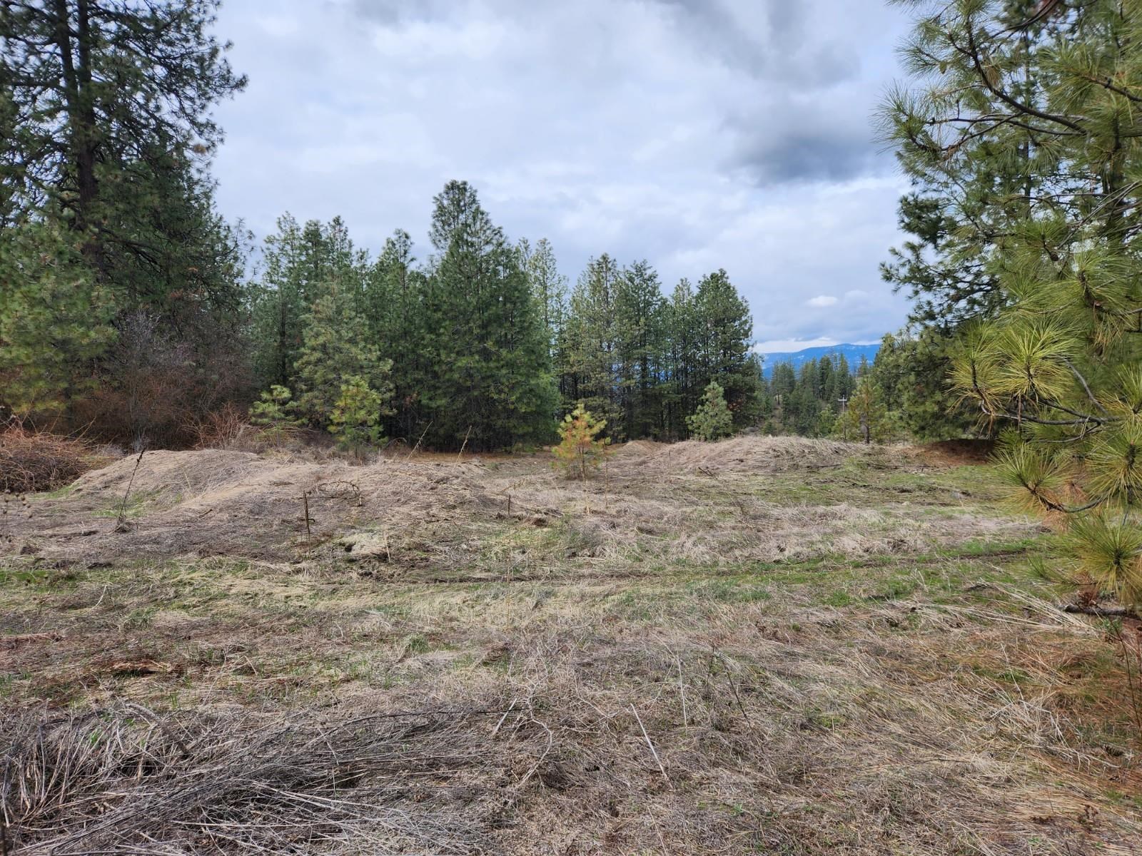 29xx Bakie Rd - Photo 6