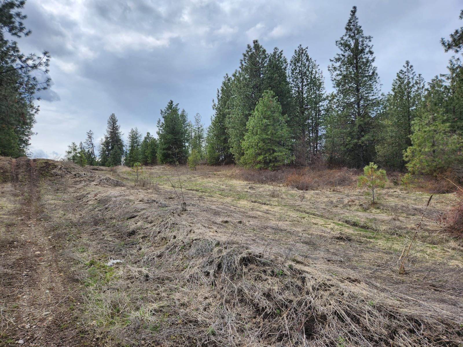 29xx Bakie Rd - Photo 7