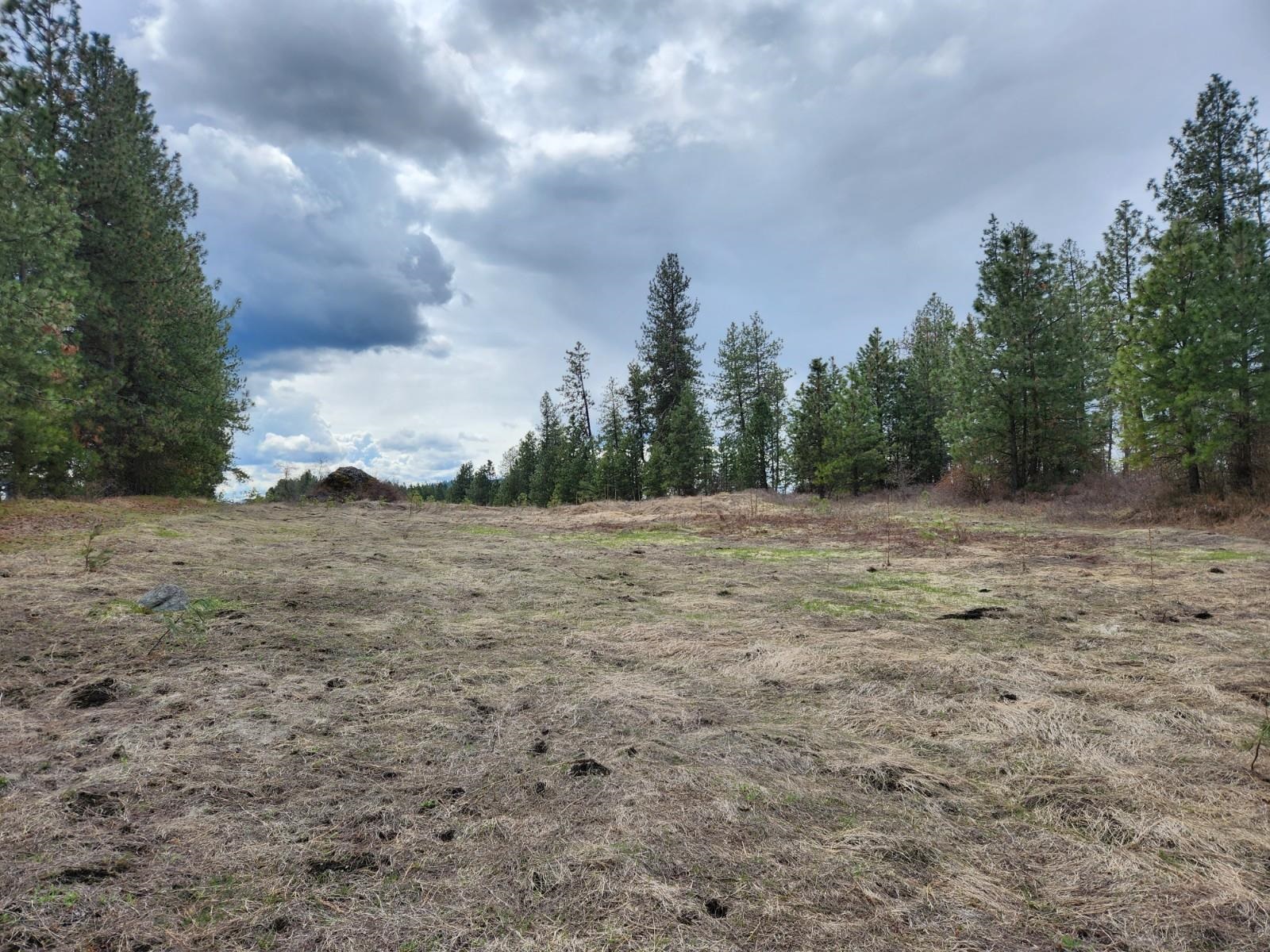 29xx Bakie Rd - Photo 8