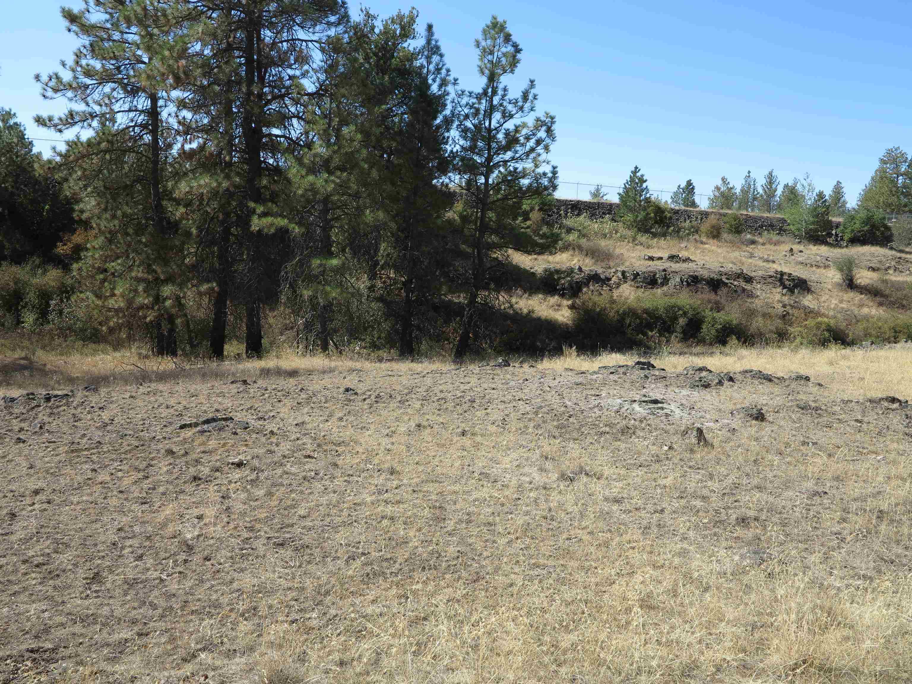 17700Blk W Williams Lake Rd - Photo 12