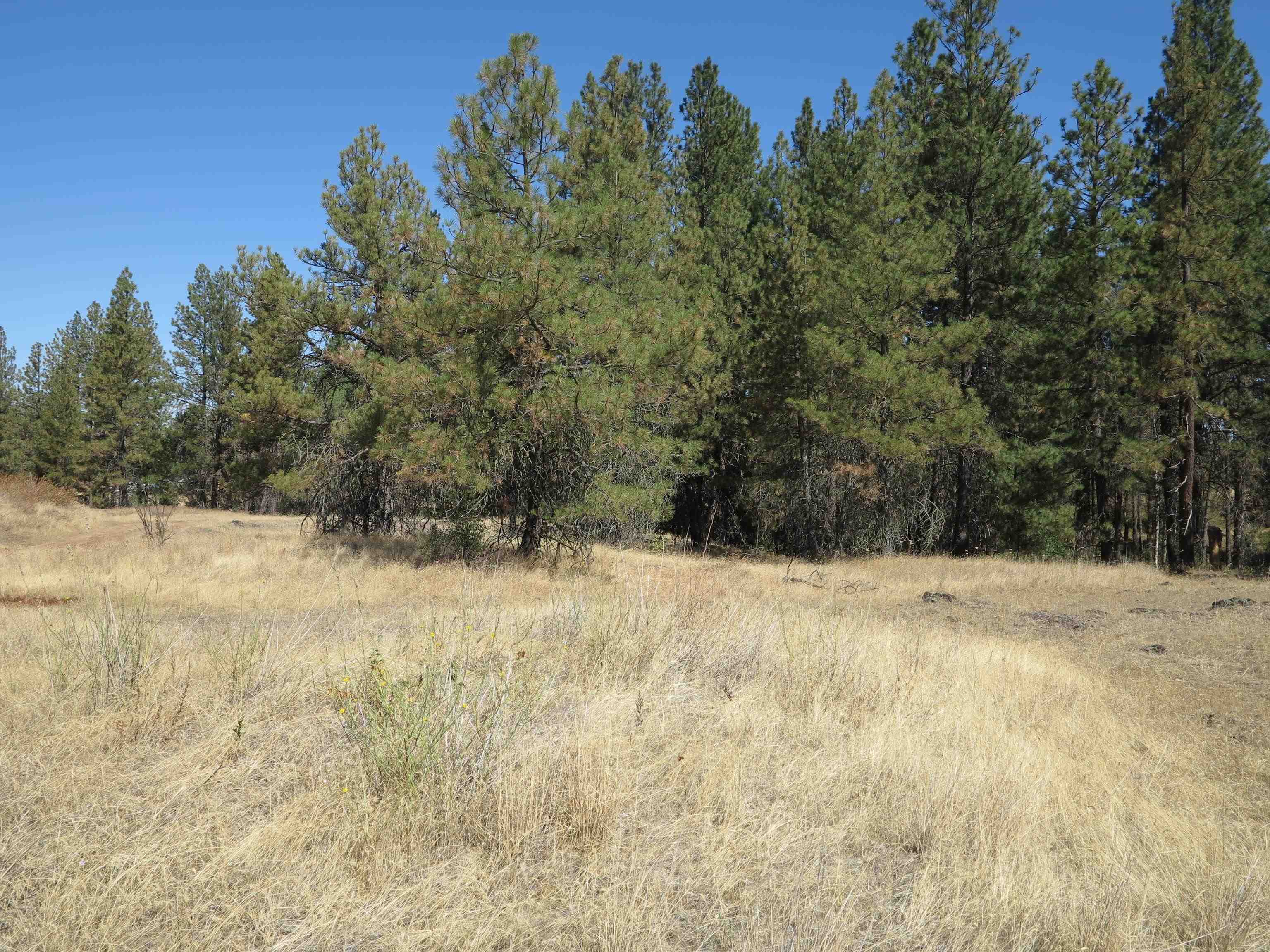 17700Blk W Williams Lake Rd - Photo 13