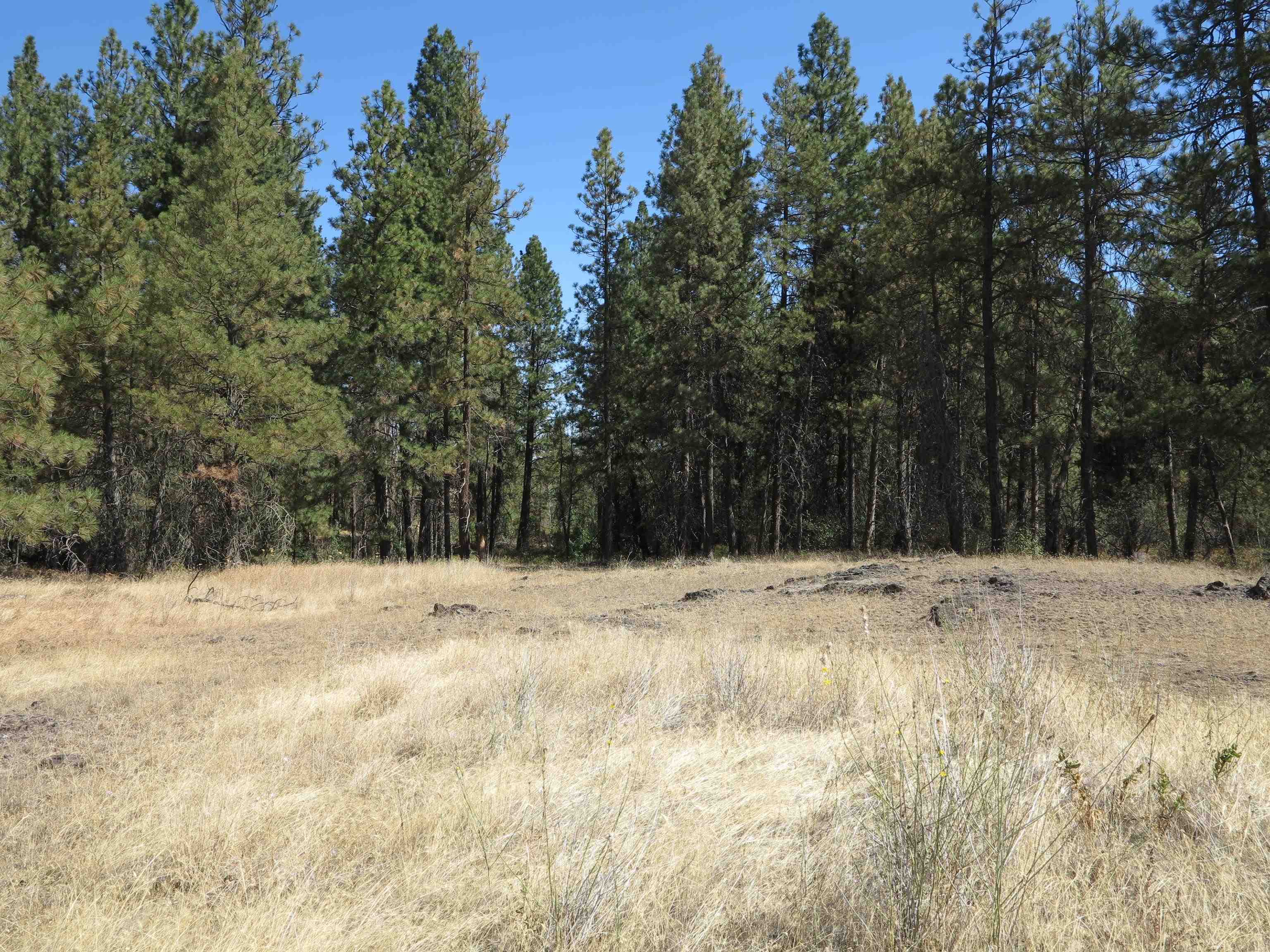 17700Blk W Williams Lake Rd - Photo 14