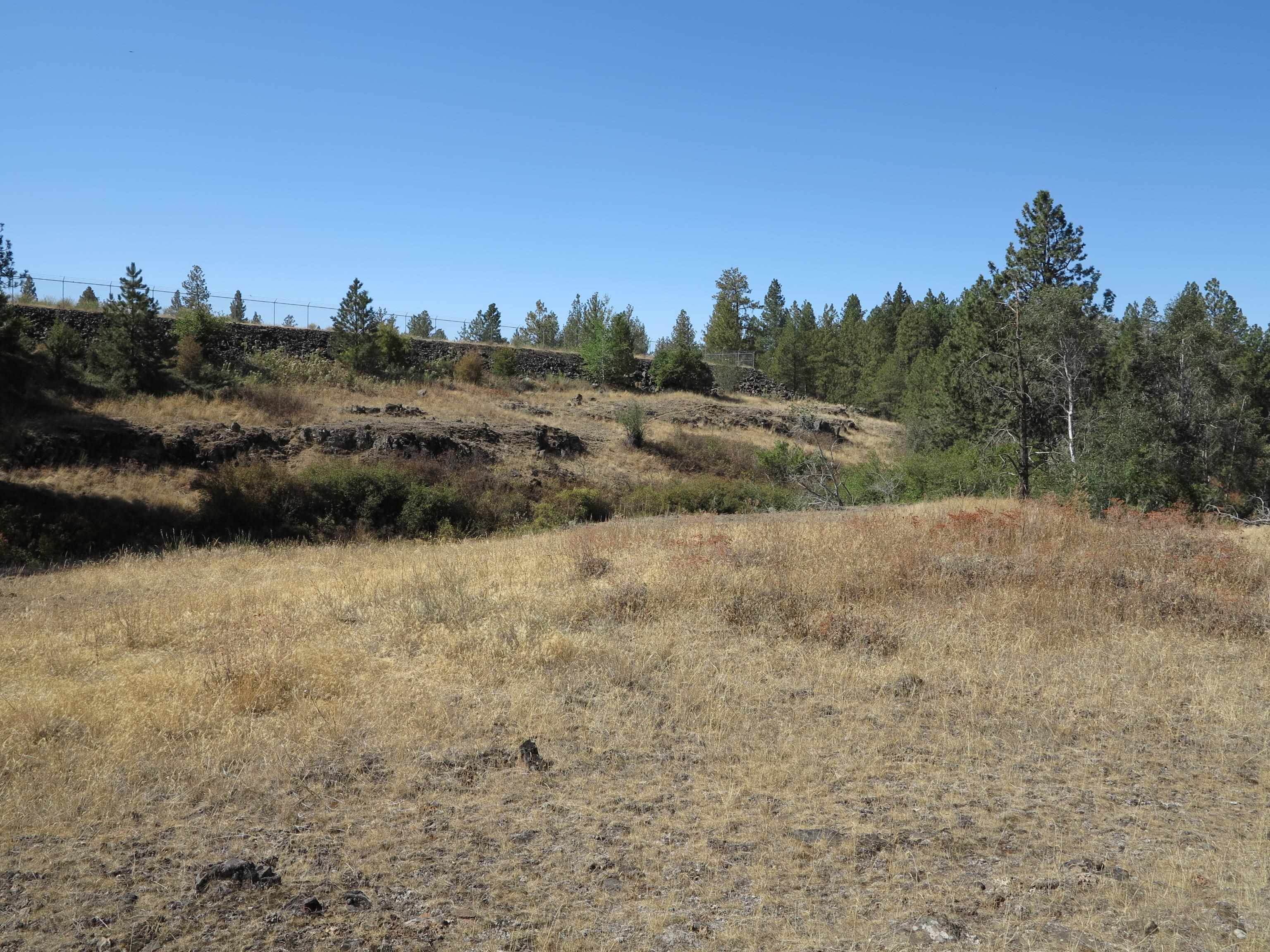 17700Blk W Williams Lake Rd - Photo 15