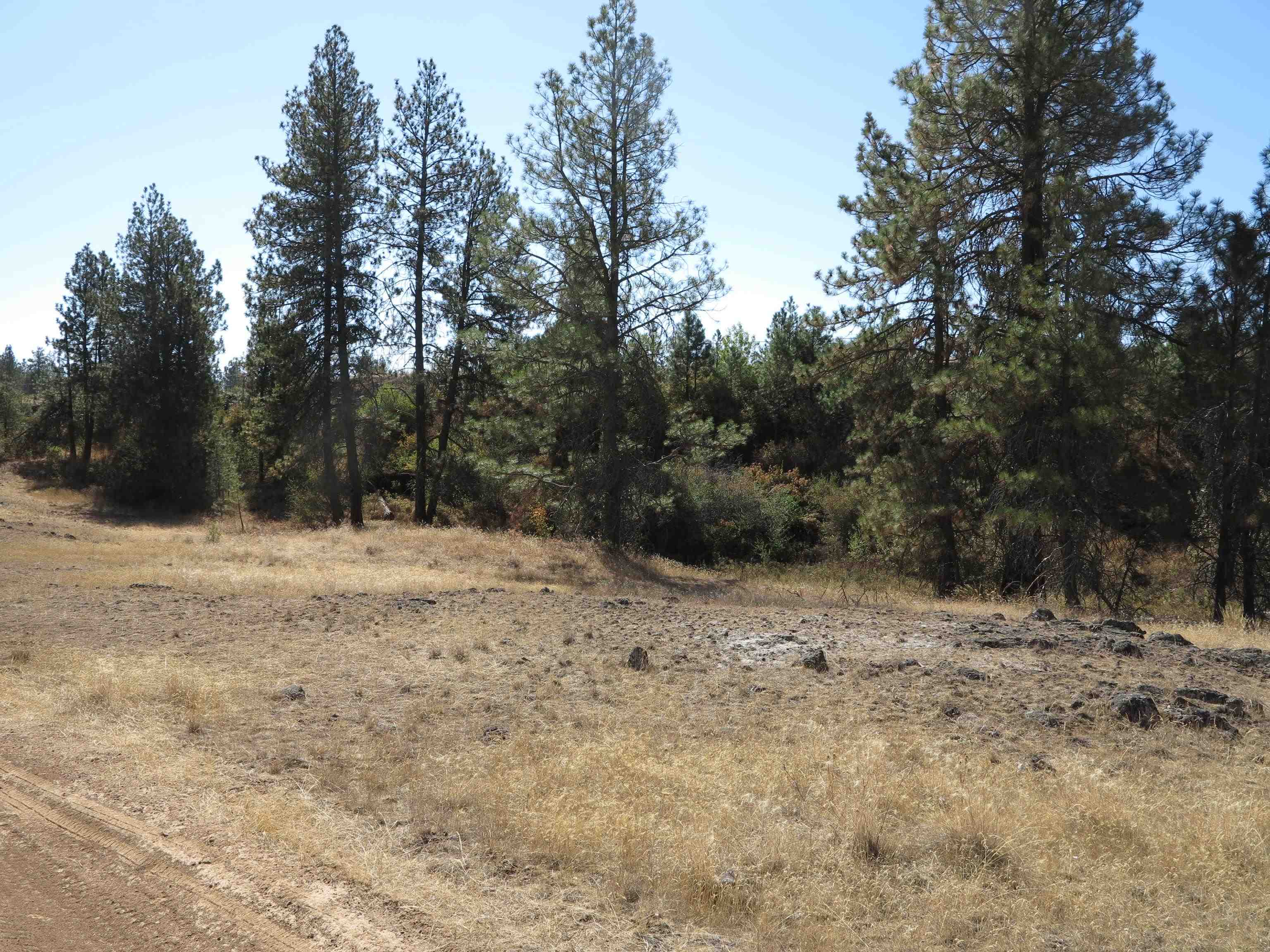 17700Blk W Williams Lake Rd - Photo 16