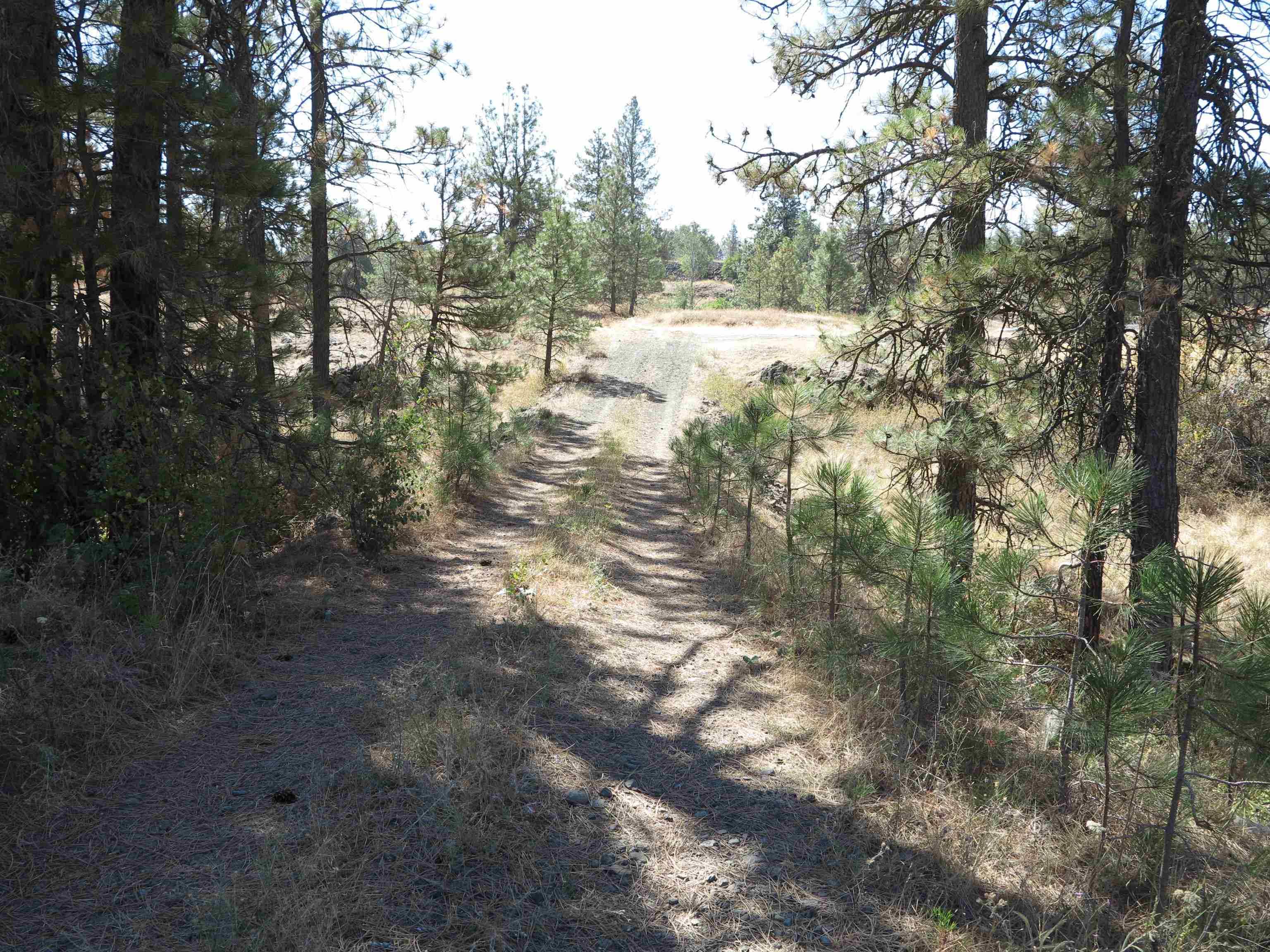 17700Blk W Williams Lake Rd - Photo 18