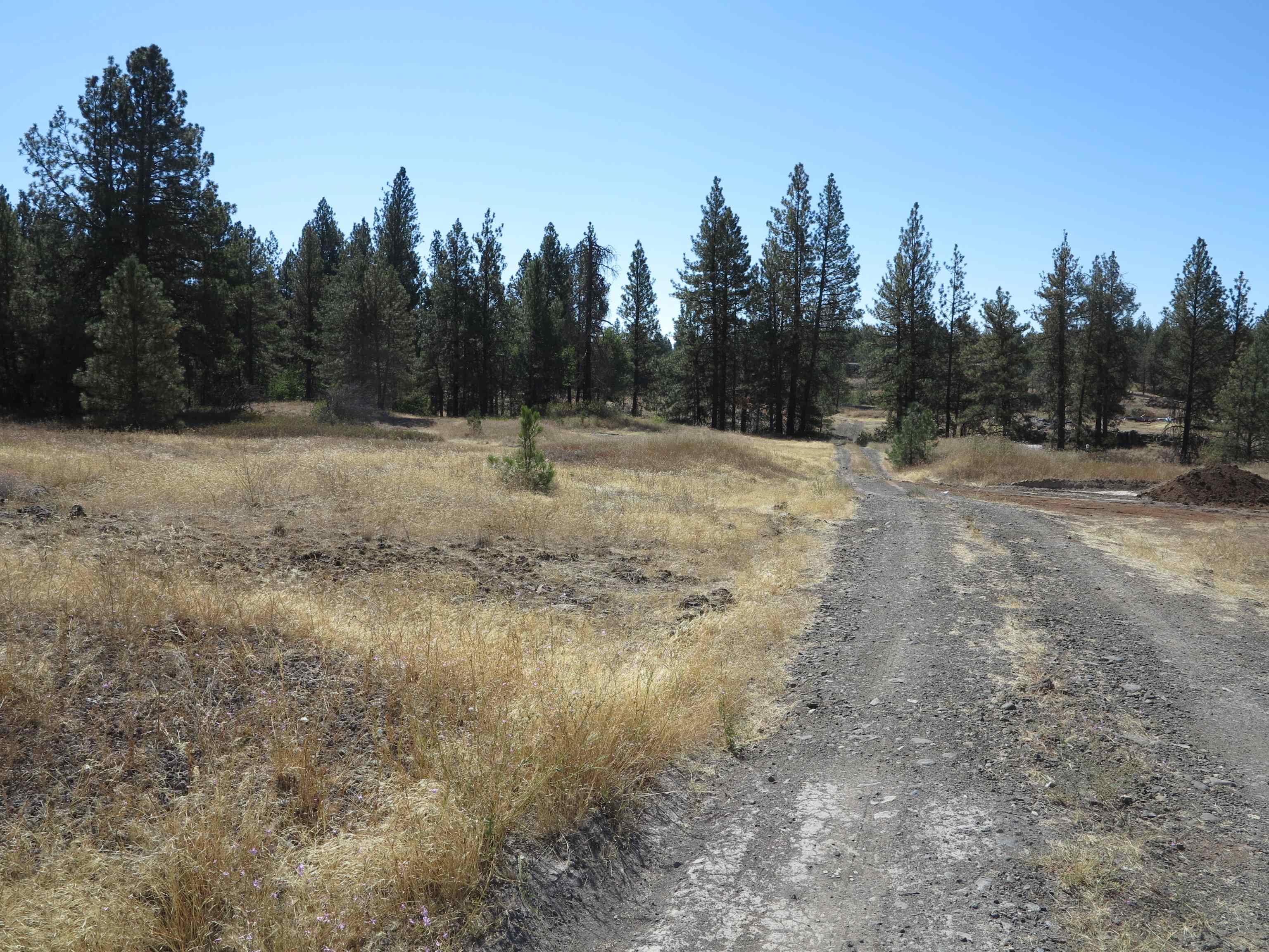 17700Blk W Williams Lake Rd - Photo 20