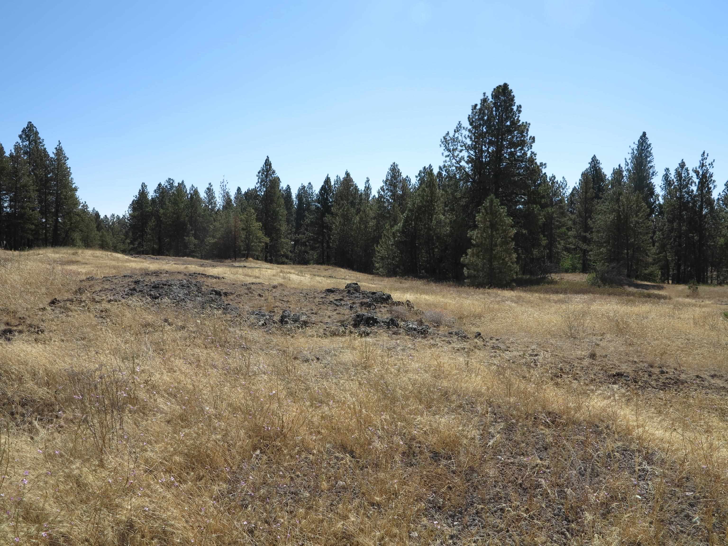 17700Blk W Williams Lake Rd - Photo 21