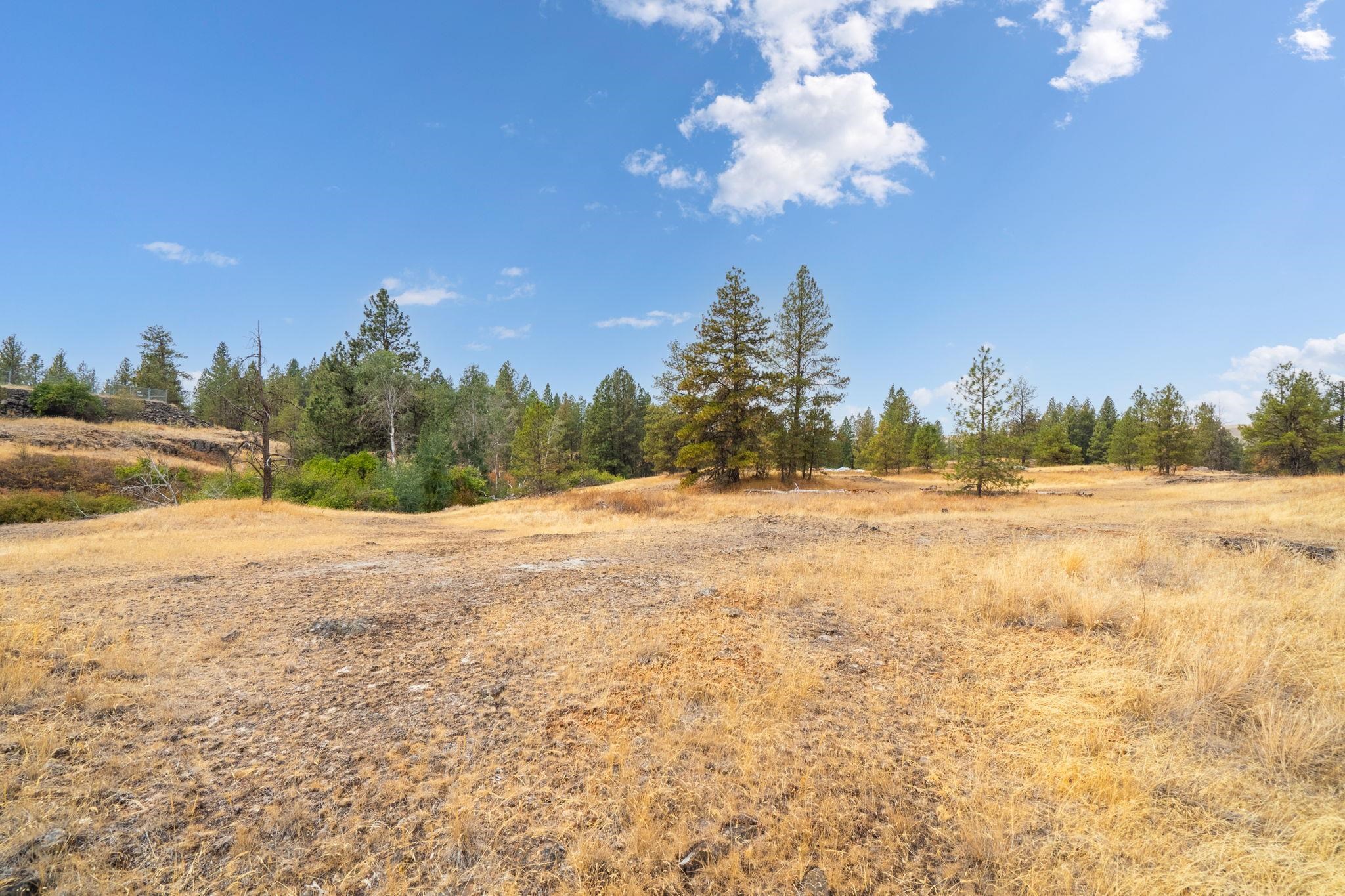 17700Blk W Williams Lake Rd - Photo 8